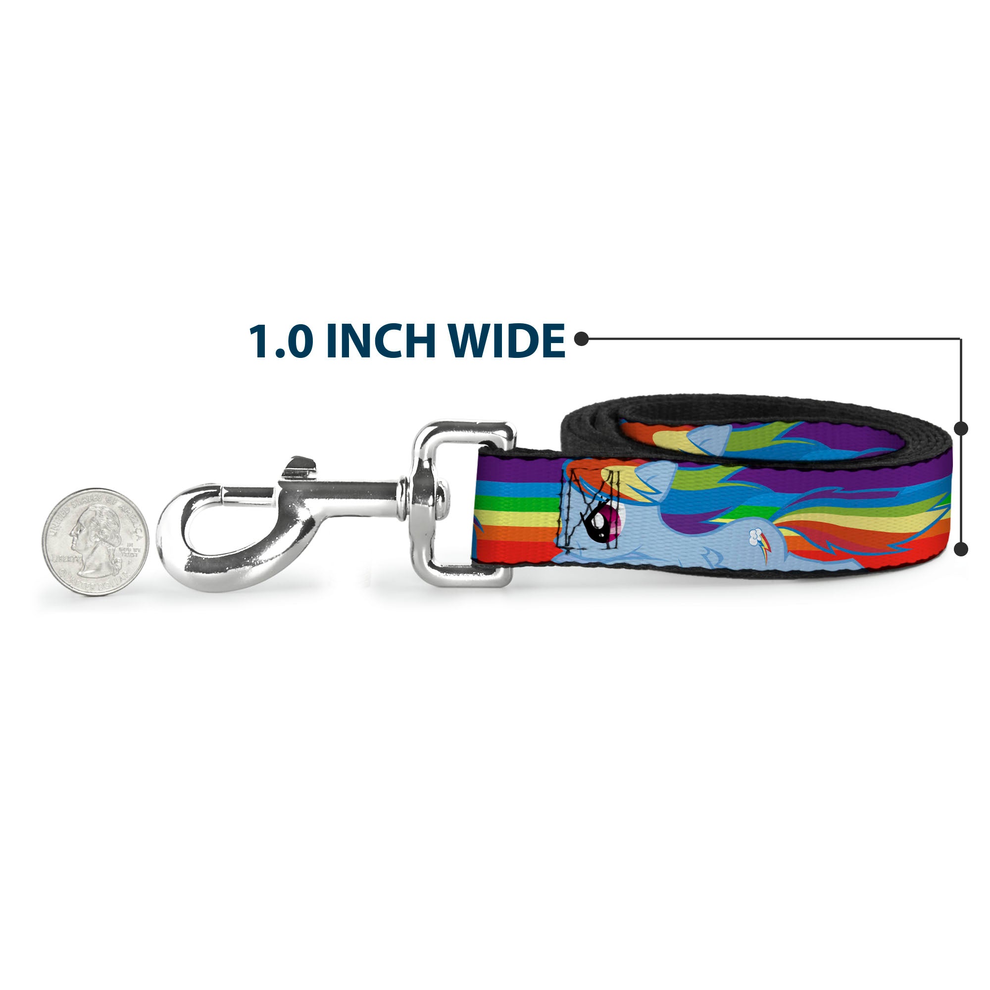 Dog Leash - RAINBOW DASH Text and Poses Rainbow Streak