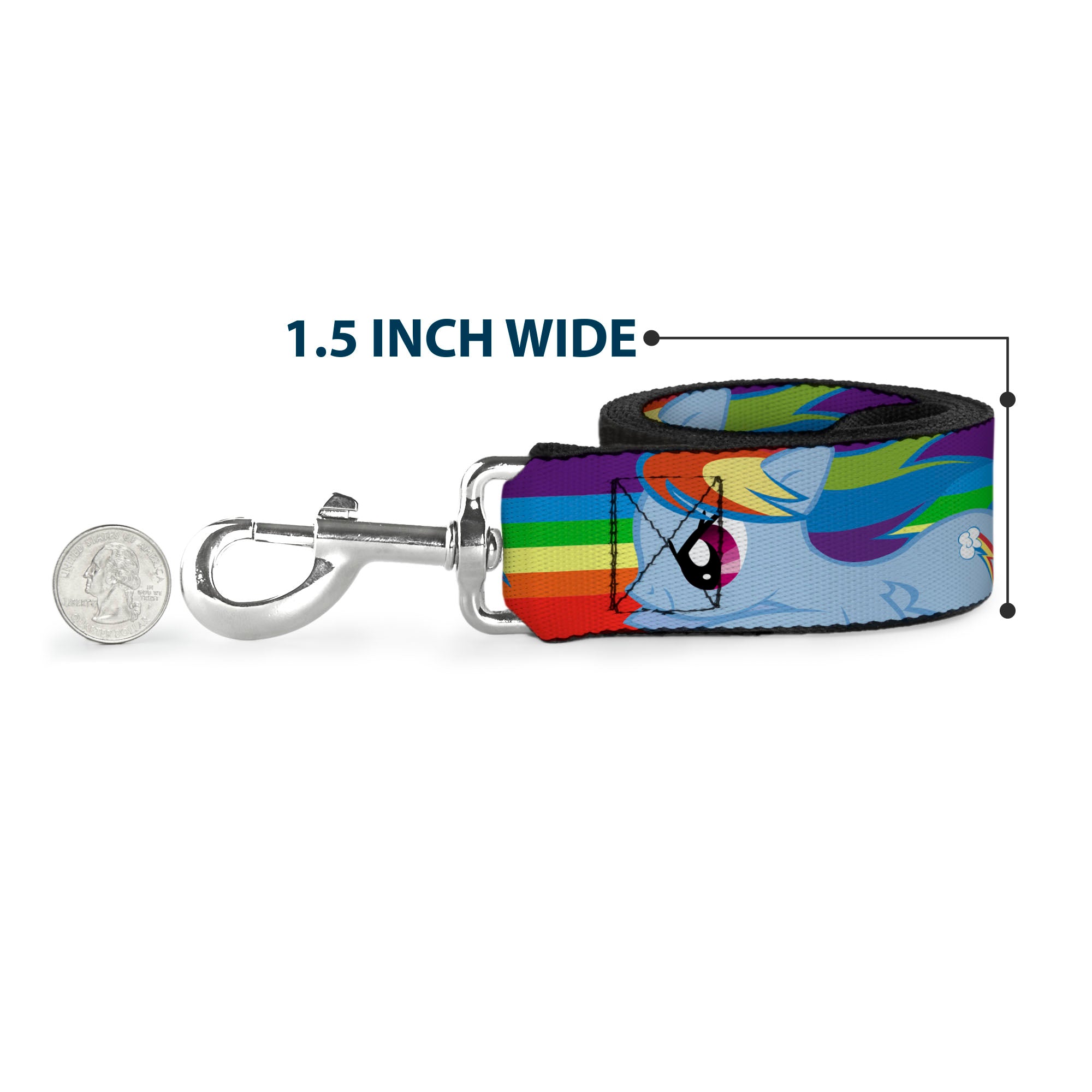 Dog Leash - RAINBOW DASH Text and Poses Rainbow Streak