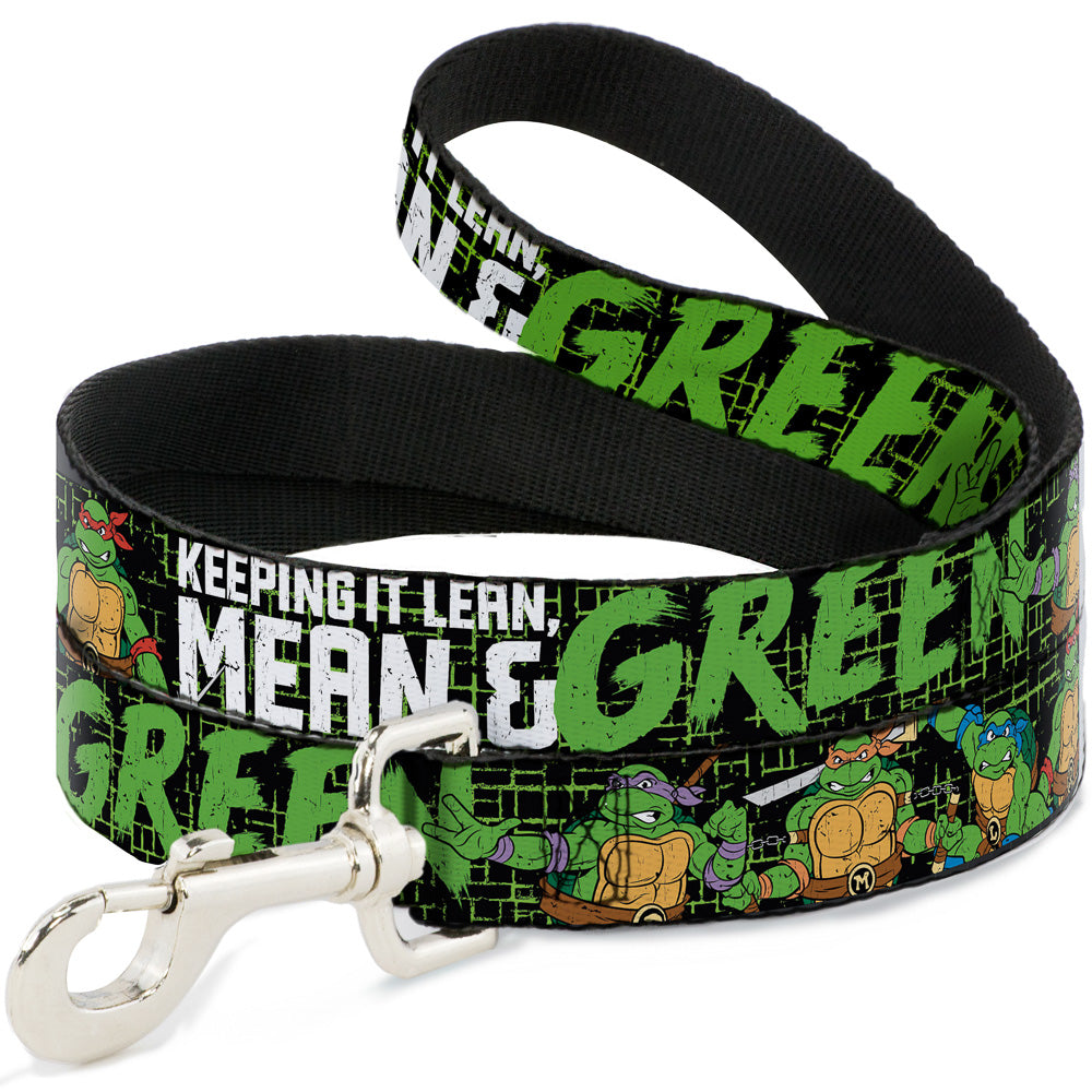 Dog Leash - Classic TMNT Group Pose6/KEEPING IT LEAN, MEAN & GREEN Black/Green/White Dog Leashes Teenage Mutant Ninja Turtles