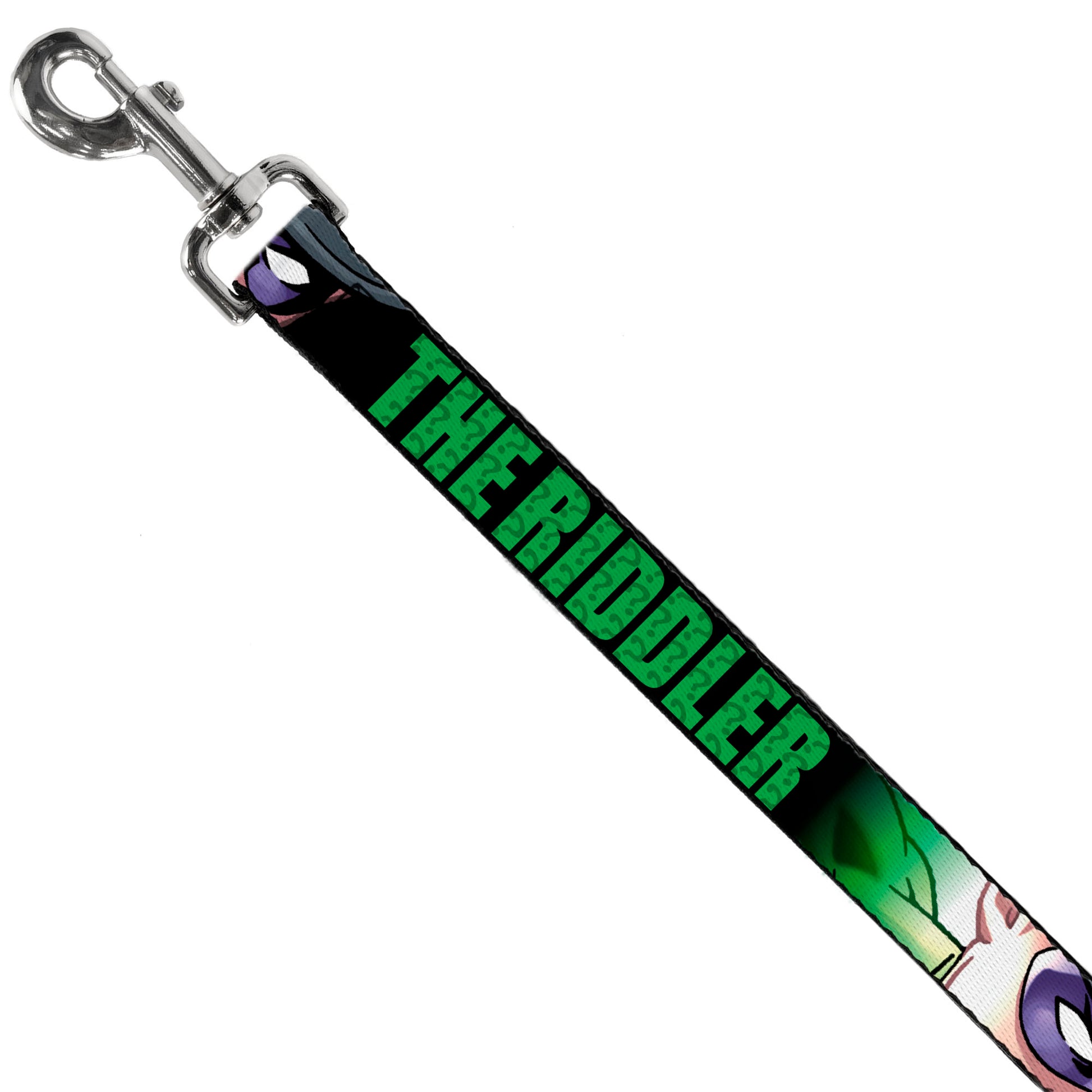 Dog Leash - THE RIDDLER/Face CLOSE-UP Black/Green Dog Leashes DC Comics