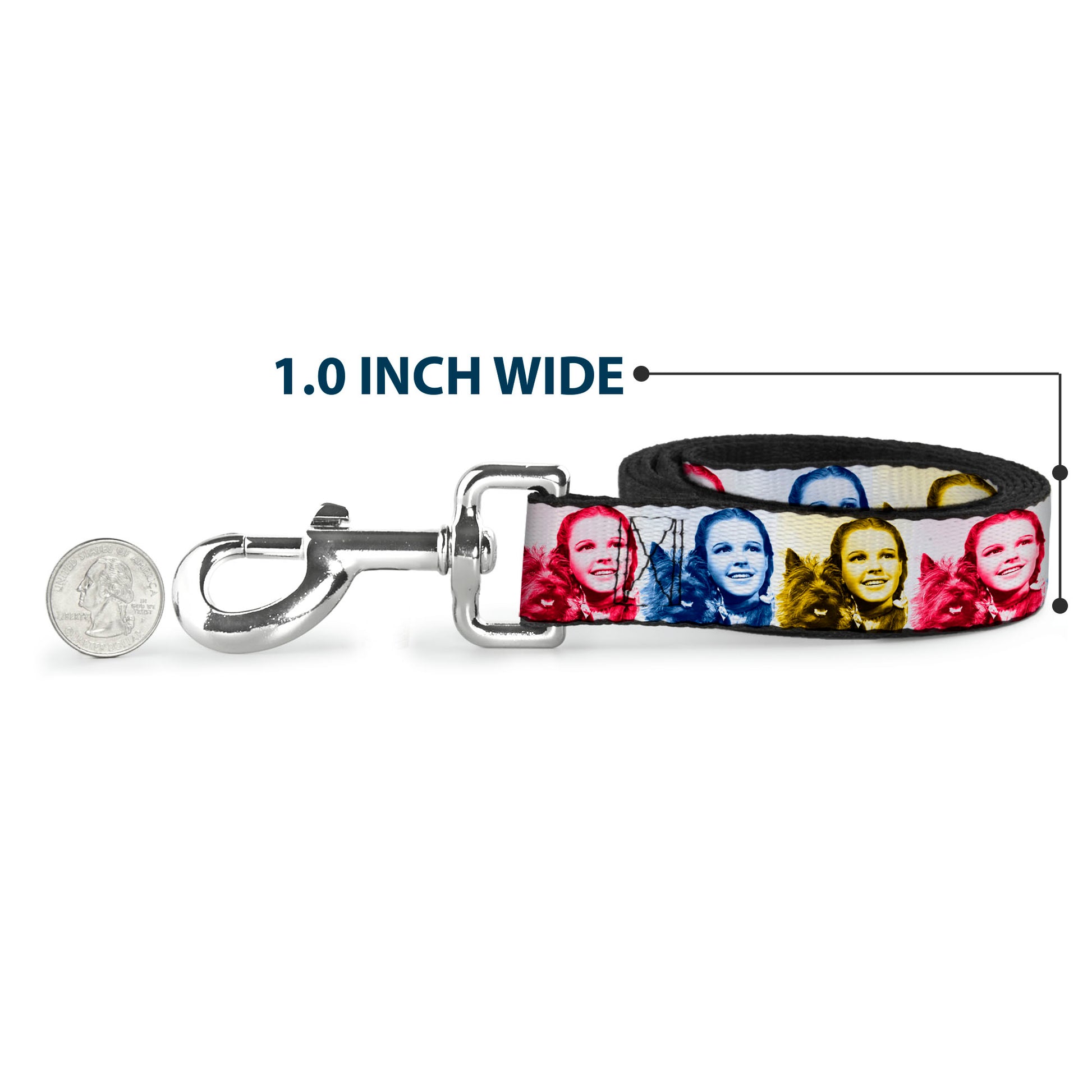 Dog Leash - The Wizard of Oz Dorothy and Toto Pose Blocks Blues/Yellows/Reds Dog Leashes The Wizard of Oz