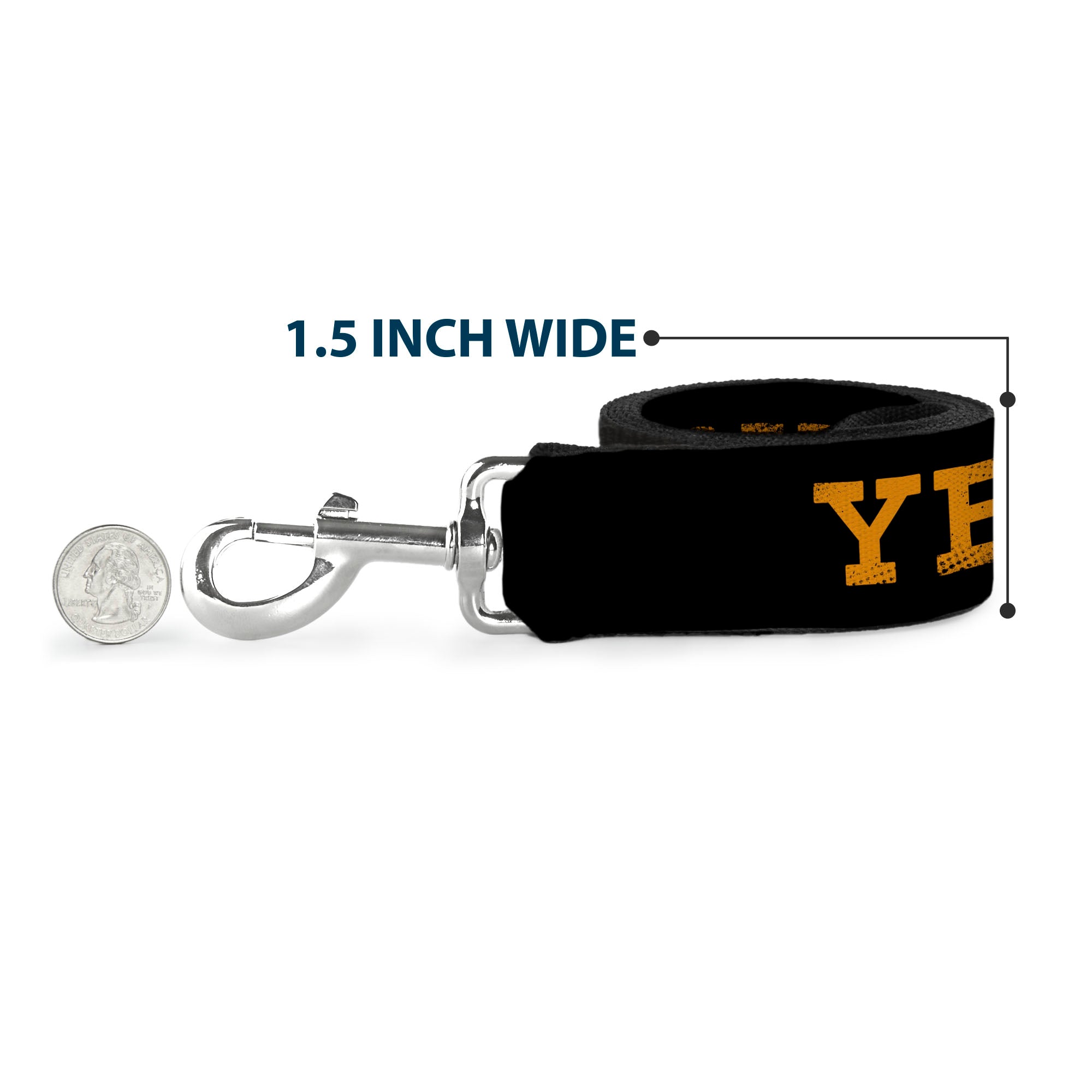 Dog Leash - YELLOWSTONE Text and Y Logo Weathered Black/Orange Dog Leashes Yellowstone