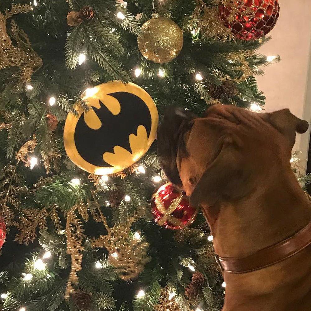 DTPT-BMDV Dog Toy Squeaky Plush - Batman Bat Icon Yellow Black Dog Toy Squeaky Plush DC Comics