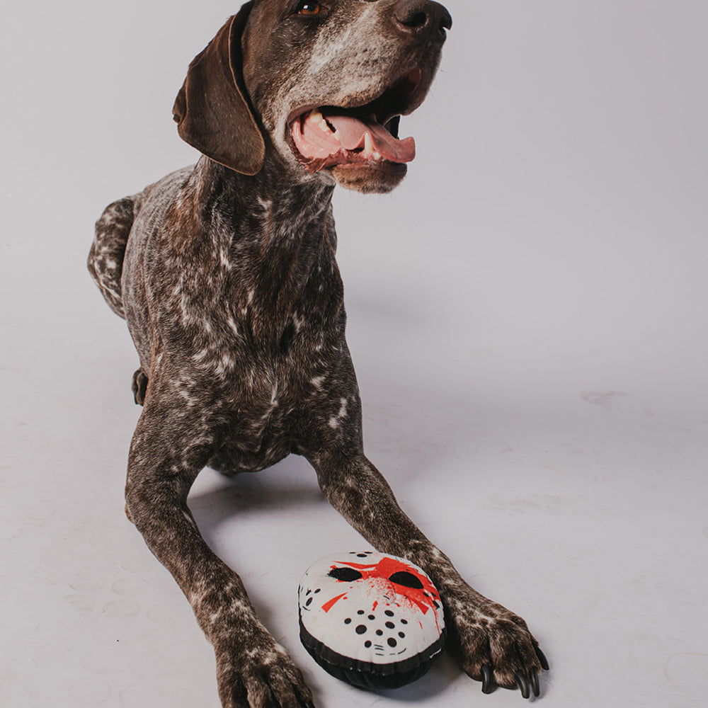 Dog Toy Squeaker Plush - Friday the 13th Jason Mask Dog Toy Squeaky Plush Friday the 13th