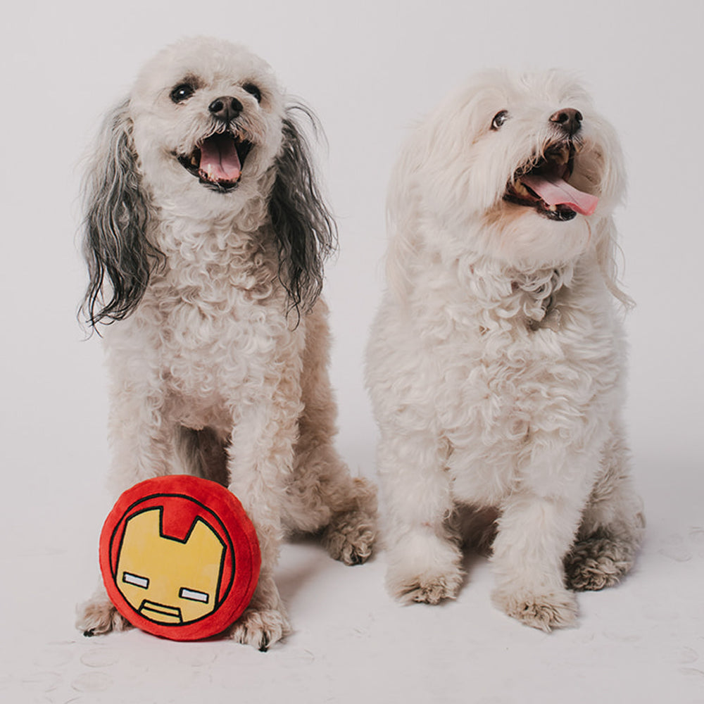 Dog Toy Squeaker Plush - Iron Man Kawaii Face Dog Toy Squeaky Plush Marvel Comics