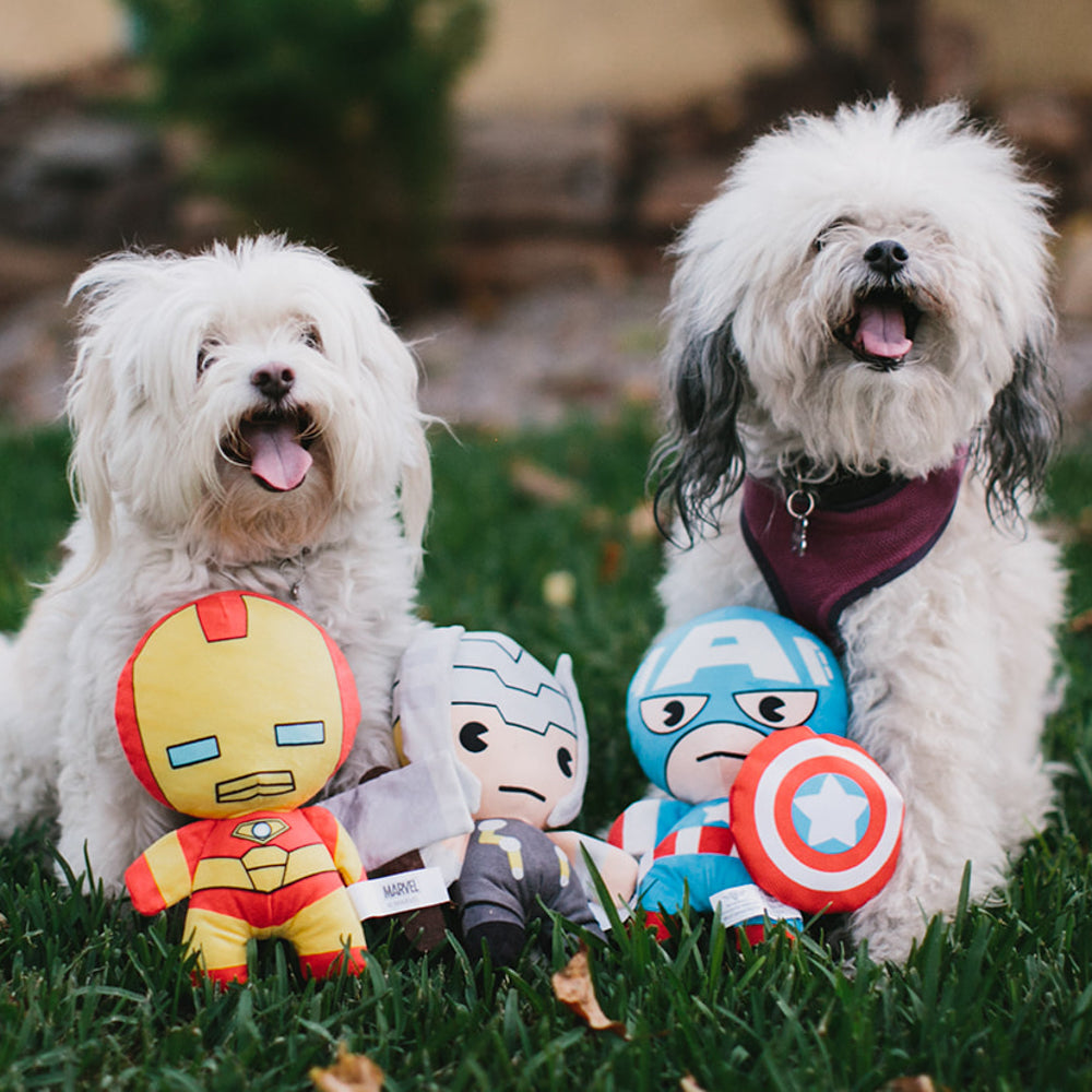 Dog Toy Squeaky Plush - Kawaii Iron Man Standing Pose Dog Toy Squeaky Plush Marvel Comics