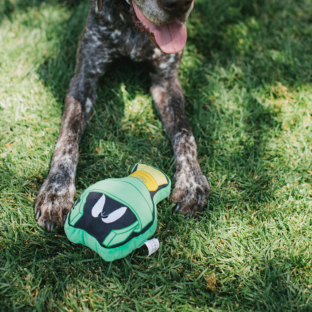 Dog Toy Squeaky Plush - Looney Tunes Marvin the Martian Face Dog Toy Squeaky Plush Looney Tunes