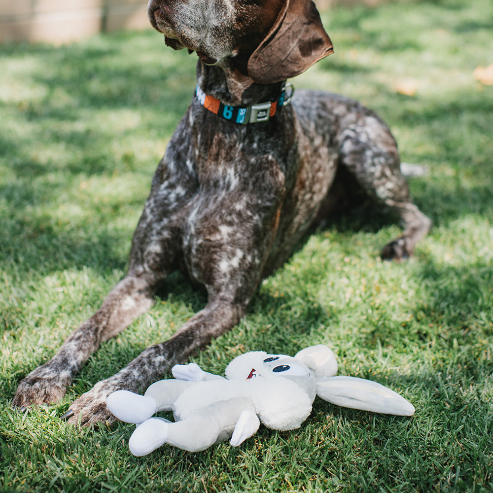 Dog Toy Squeaker Plush - Looney Tunes Bugs Bunny Full Body Dog Toy Squeaky Plush Looney Tunes