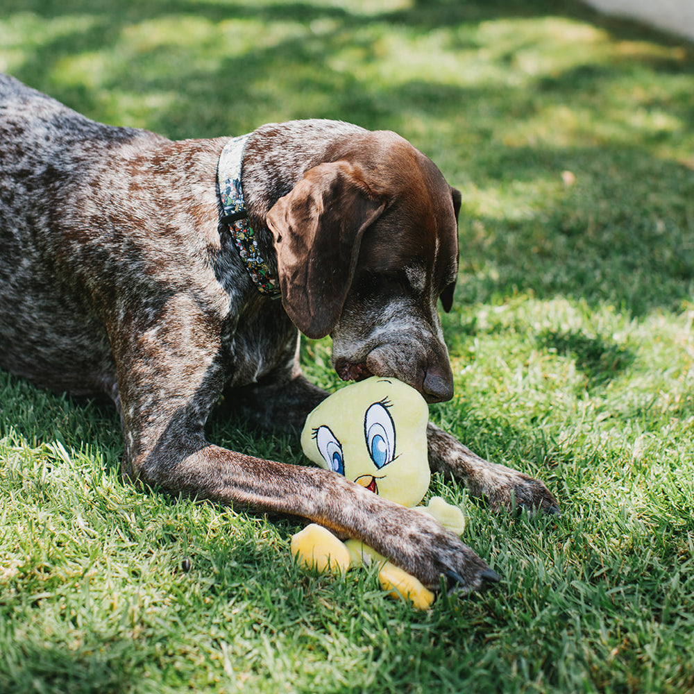 Dog Toy Squeaker Plush - Looney Tunes Tweety Bird Full Body Dog Toy Squeaky Plush Looney Tunes