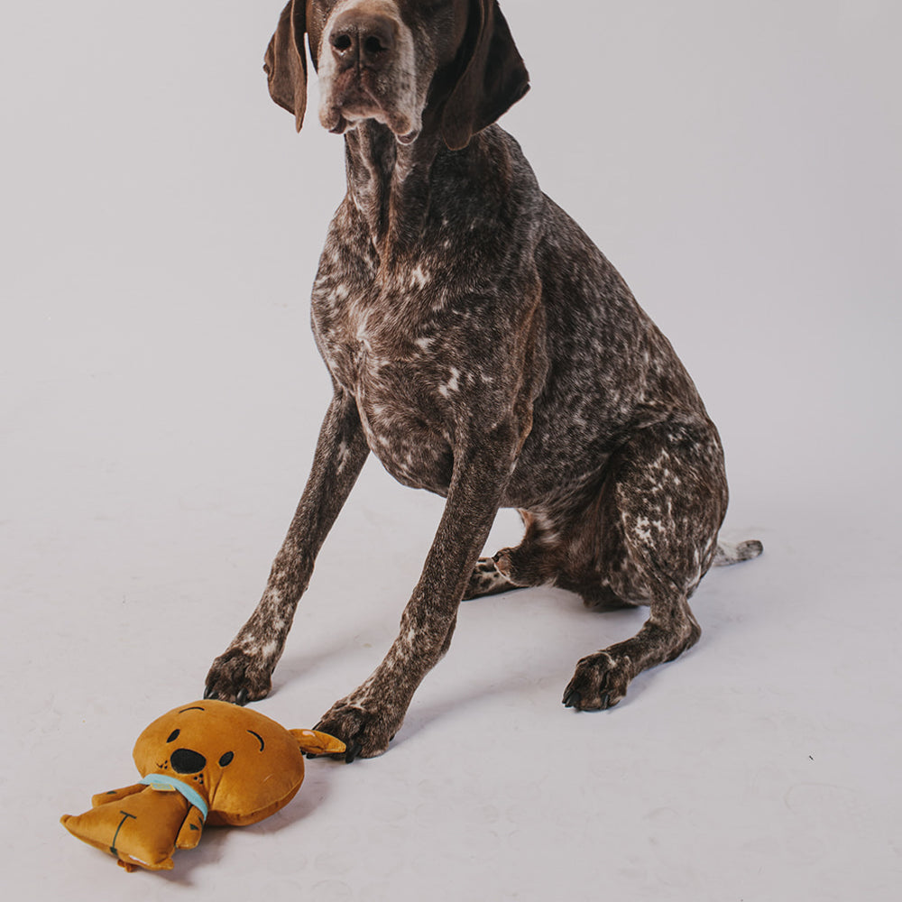 Dog Toy Squeaker Plush - Scooby Doo 3-D Full Body Dog Toy Squeaky Plush Hanna Barbera