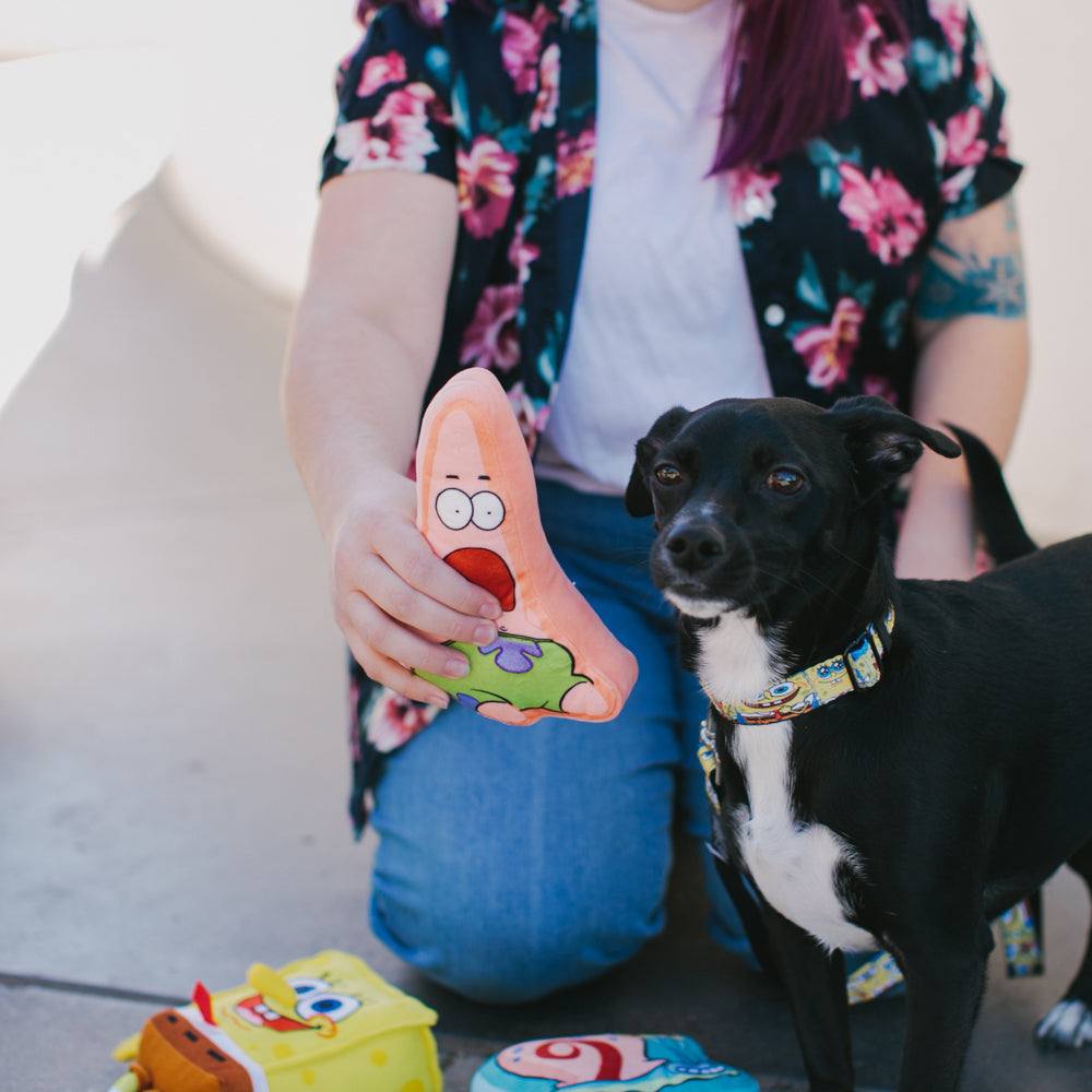 Dog Toy Squeaker Plush - SpongeBob SquarePants Surprised Patrick Starfish Dog Toy Squeaky Plush Nickelodeon