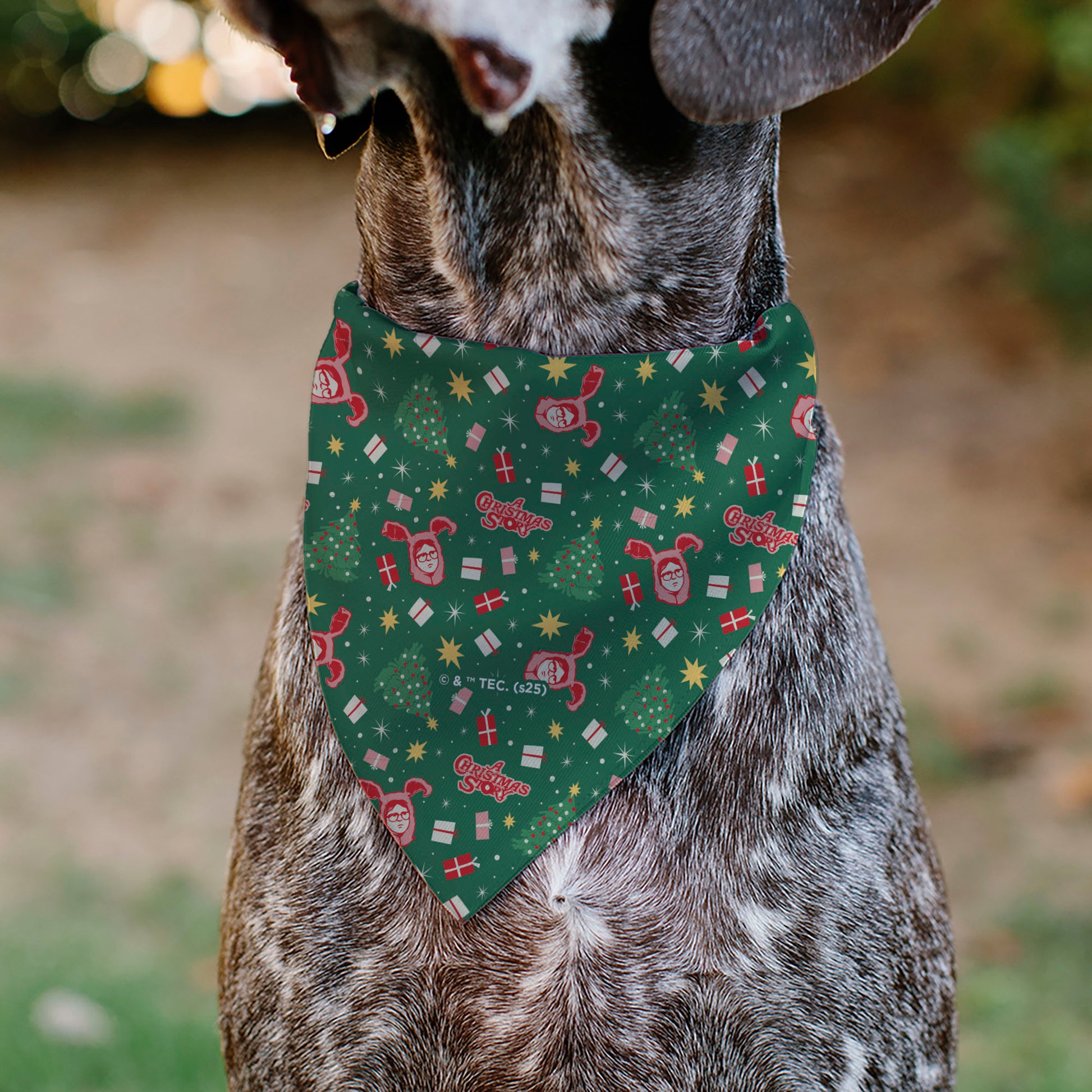 Pet Bandana - A CHRISTMAS STORY Icons and Title Logo Collage Greens/Reds Pet Bandanas A Christmas Story