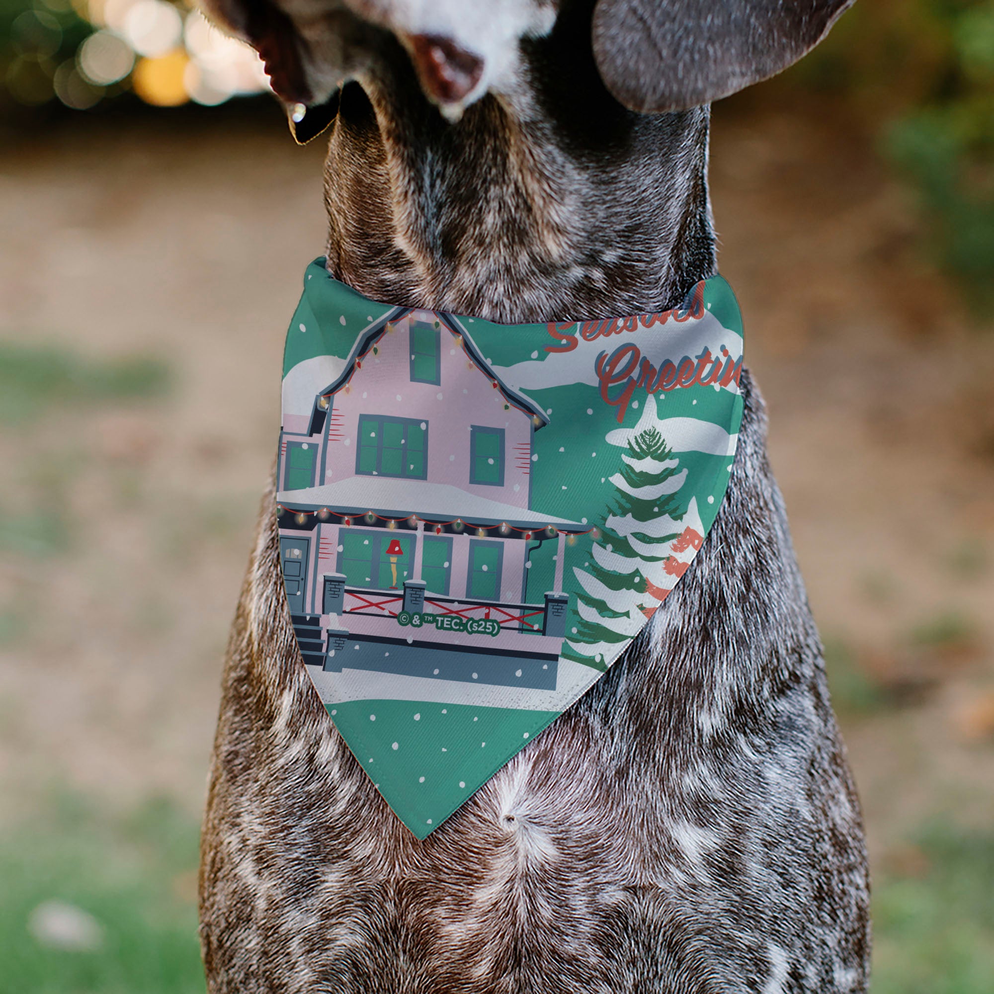 Pet Bandana - A Christmas Story Easter Bunny Ralphie Pose and House Pastels Pet Bandanas A Christmas Story