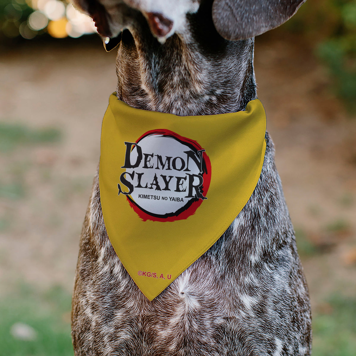 Pet Bandana - Demon Slayer Chibi Tanjiro and Shoichi Wrestling Pose Yellows Pet Bandanas Demon Slayer