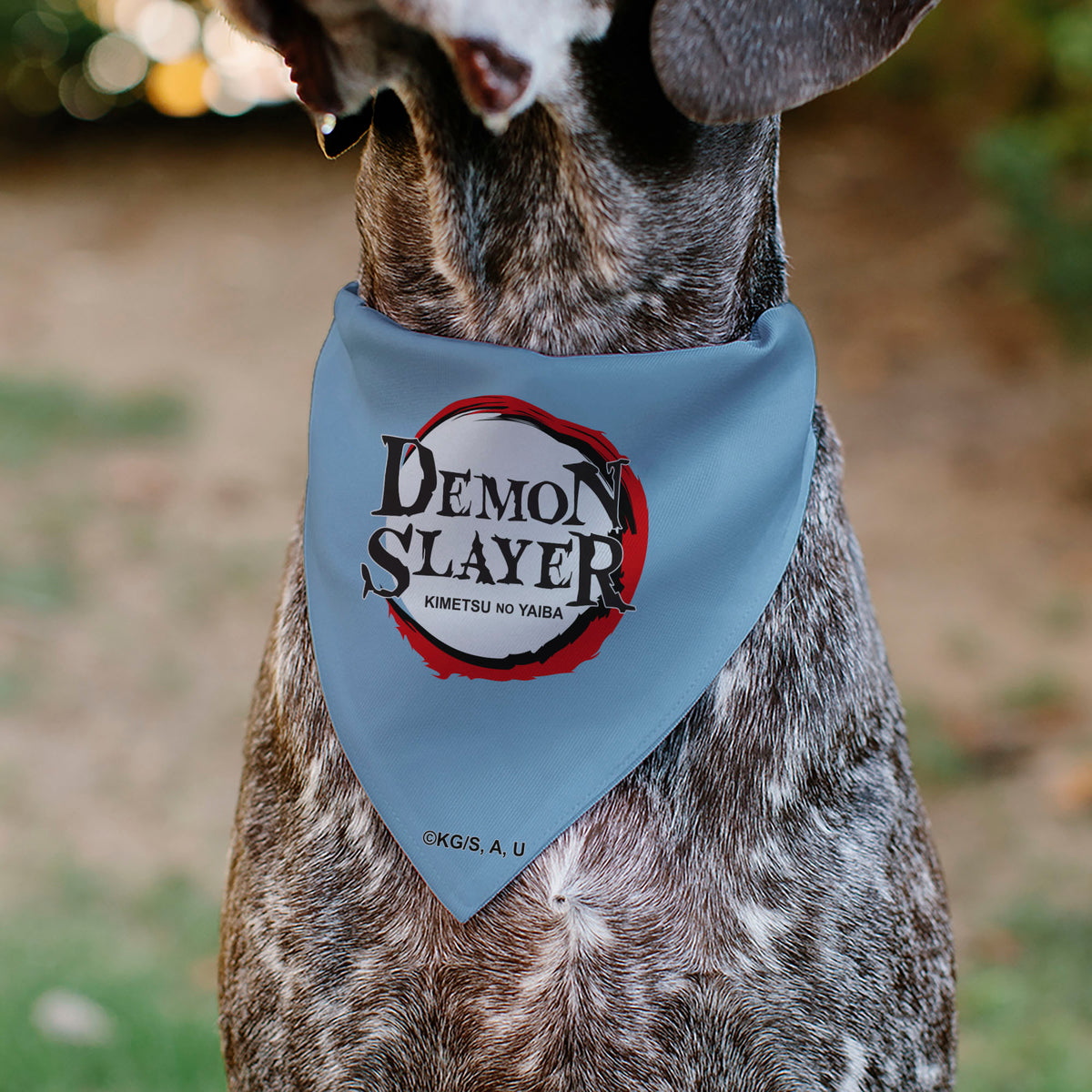 Pet Bandana - Demon Slayer Inosuke Hashibira Beast Breath Pose Chevron Blues Pet Bandanas Demon Slayer