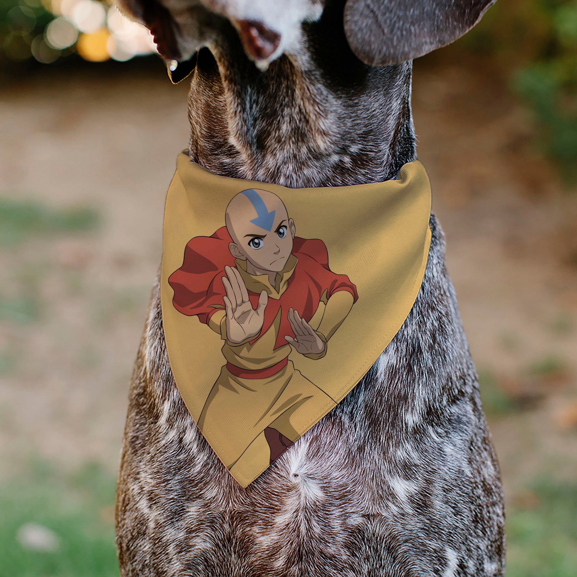 Pet Bandana - AVATAR THE LAST AIRBENDER Action Pose and Title Logo Yellow Pet Bandanas Avatar The Last Airbender