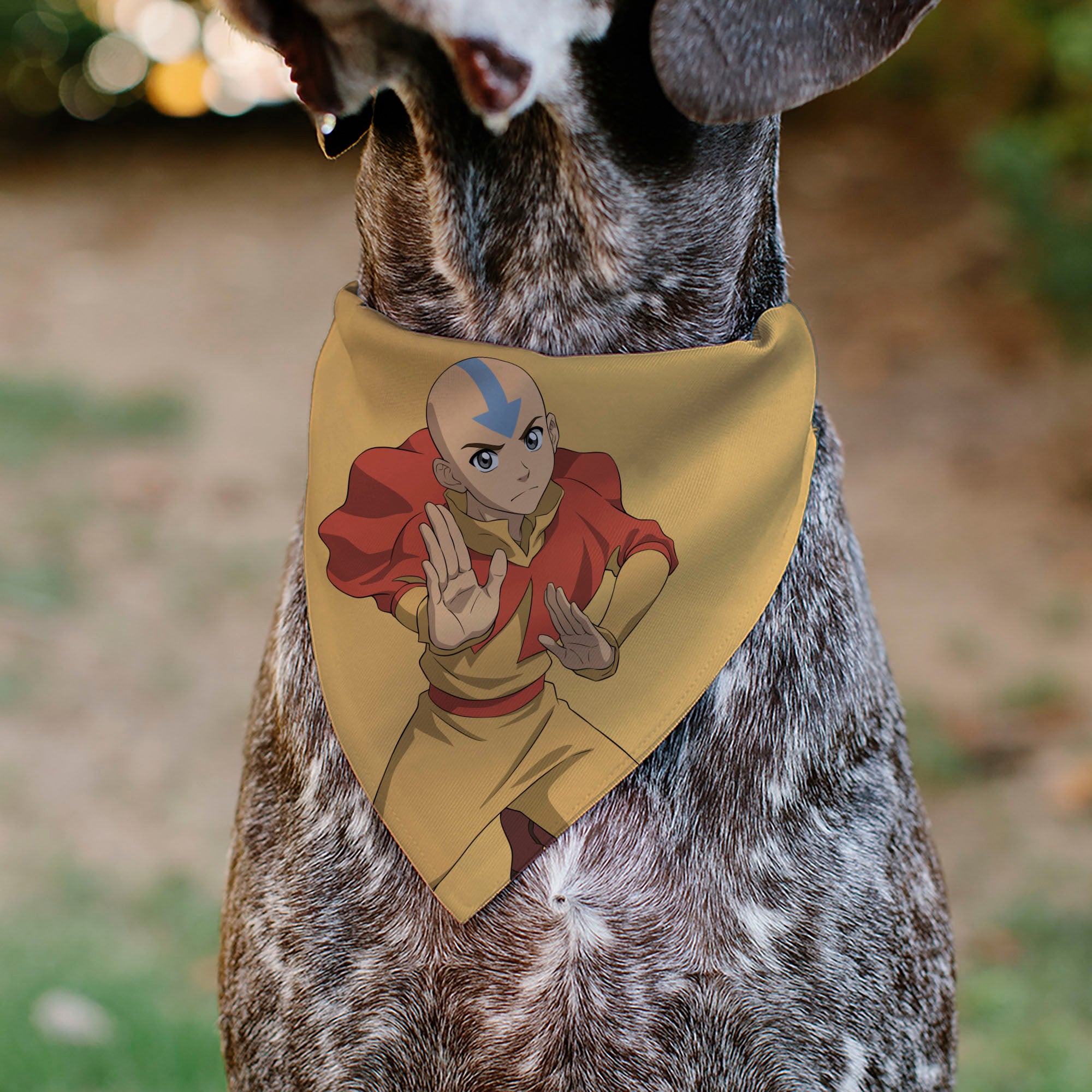 Pet Bandana - AVATAR THE LAST AIRBENDER Action Pose and Title Logo Yellow Pet Bandanas Avatar The Last Airbender