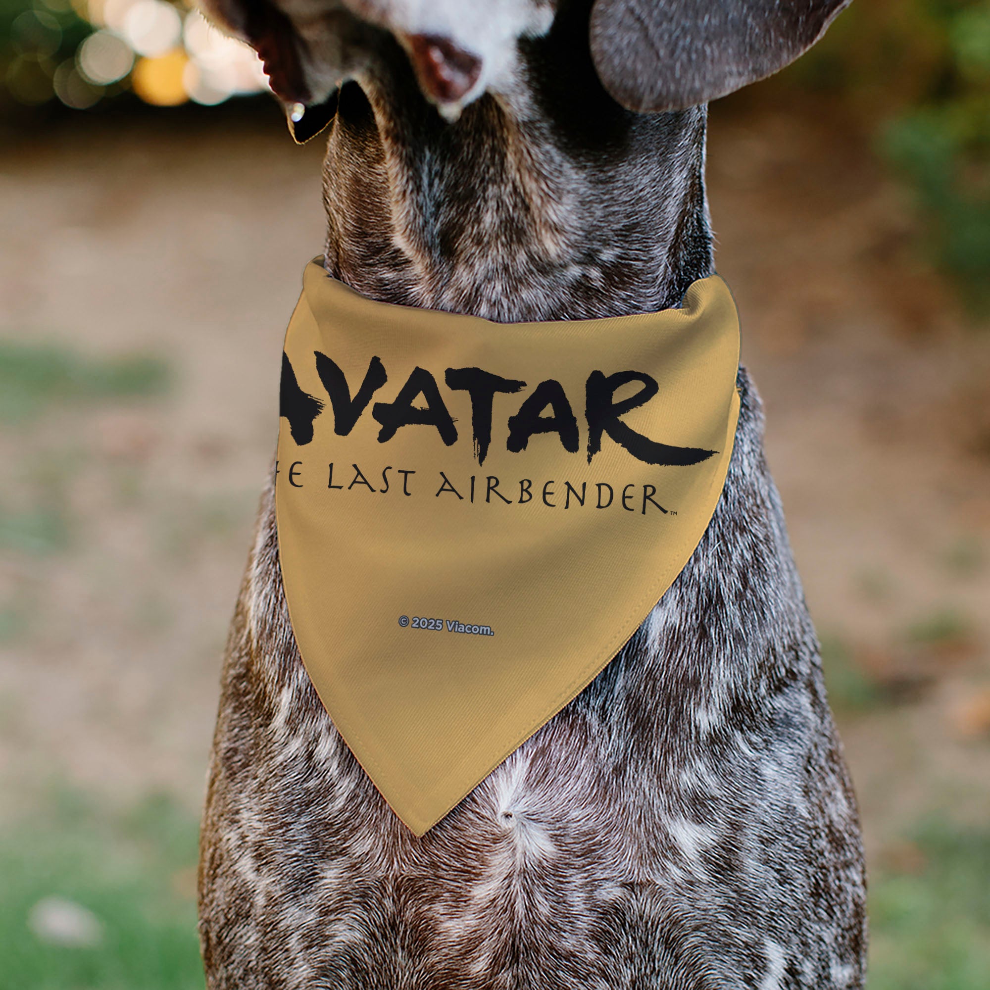 Pet Bandana - AVATAR THE LAST AIRBENDER Action Pose and Title Logo Yellow Pet Bandanas Avatar The Last Airbender