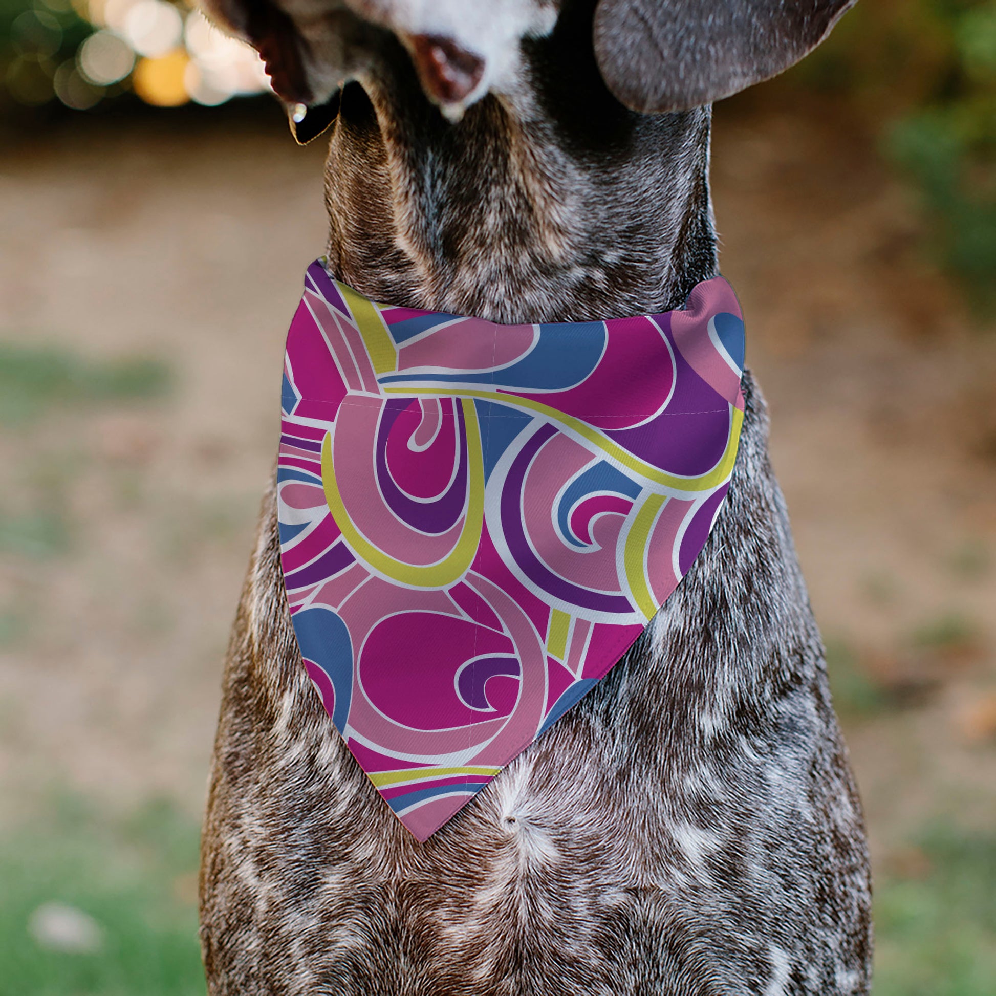 Pet Bandana - Barbie Swirl Pinks/Multi Color Pet Bandanas Mattel