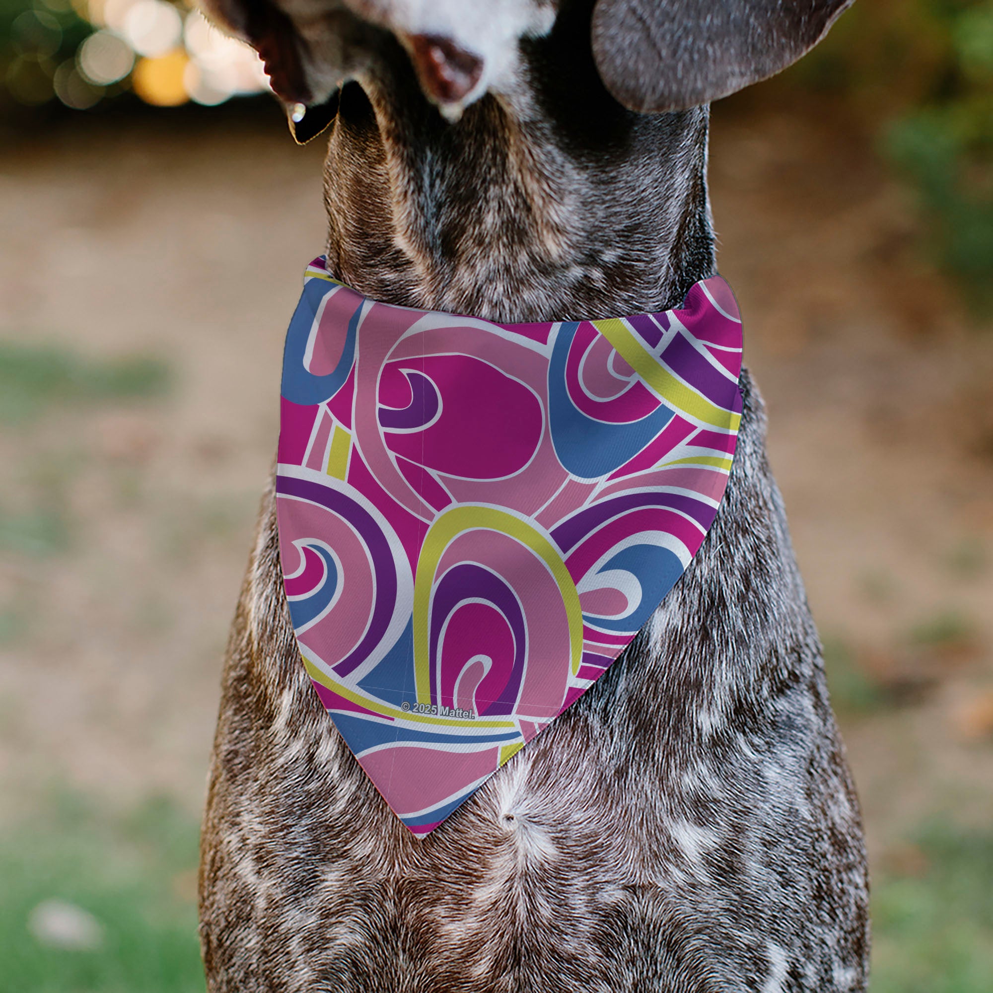 Pet Bandana - Barbie Swirl Pinks/Multi Color Pet Bandanas Mattel