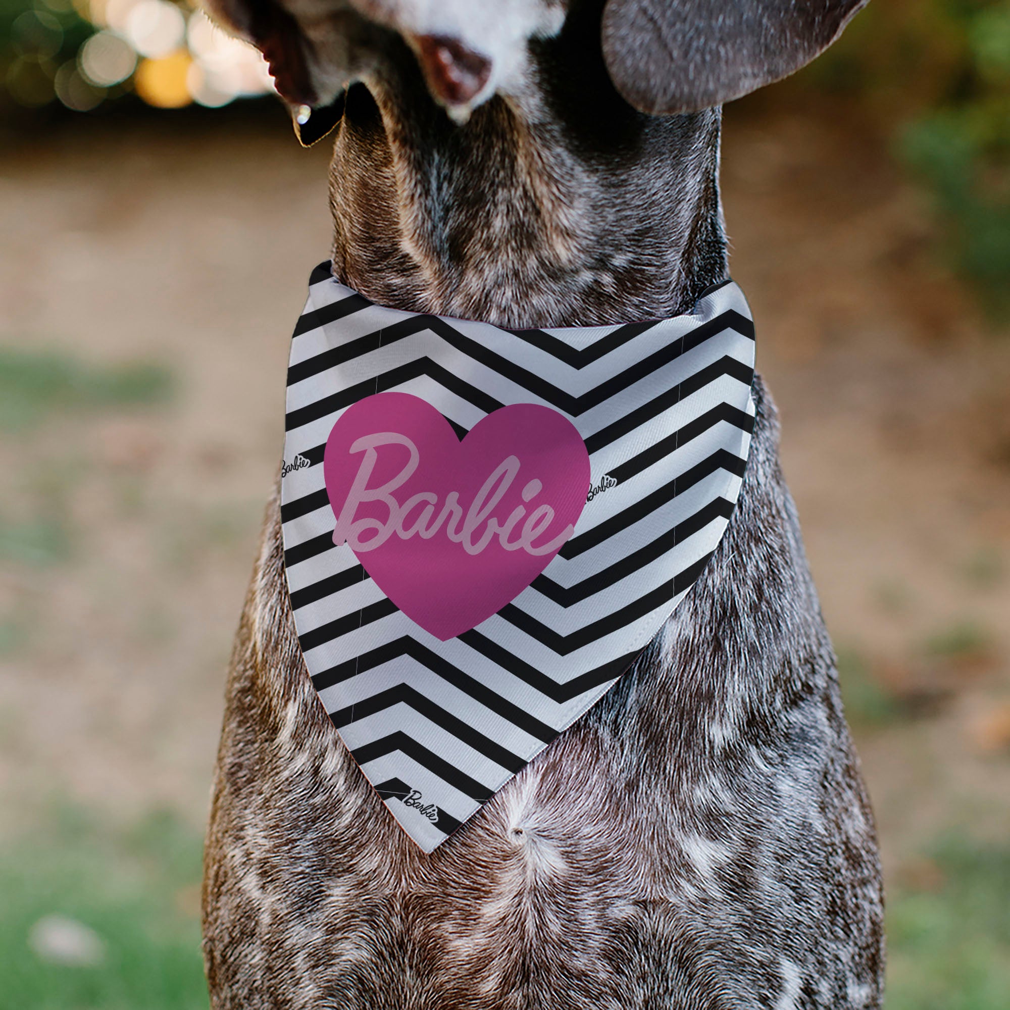 Pet Bandana - BARBIE Script Heart Chevron White/Black/Pinks Pet Bandanas Barbie