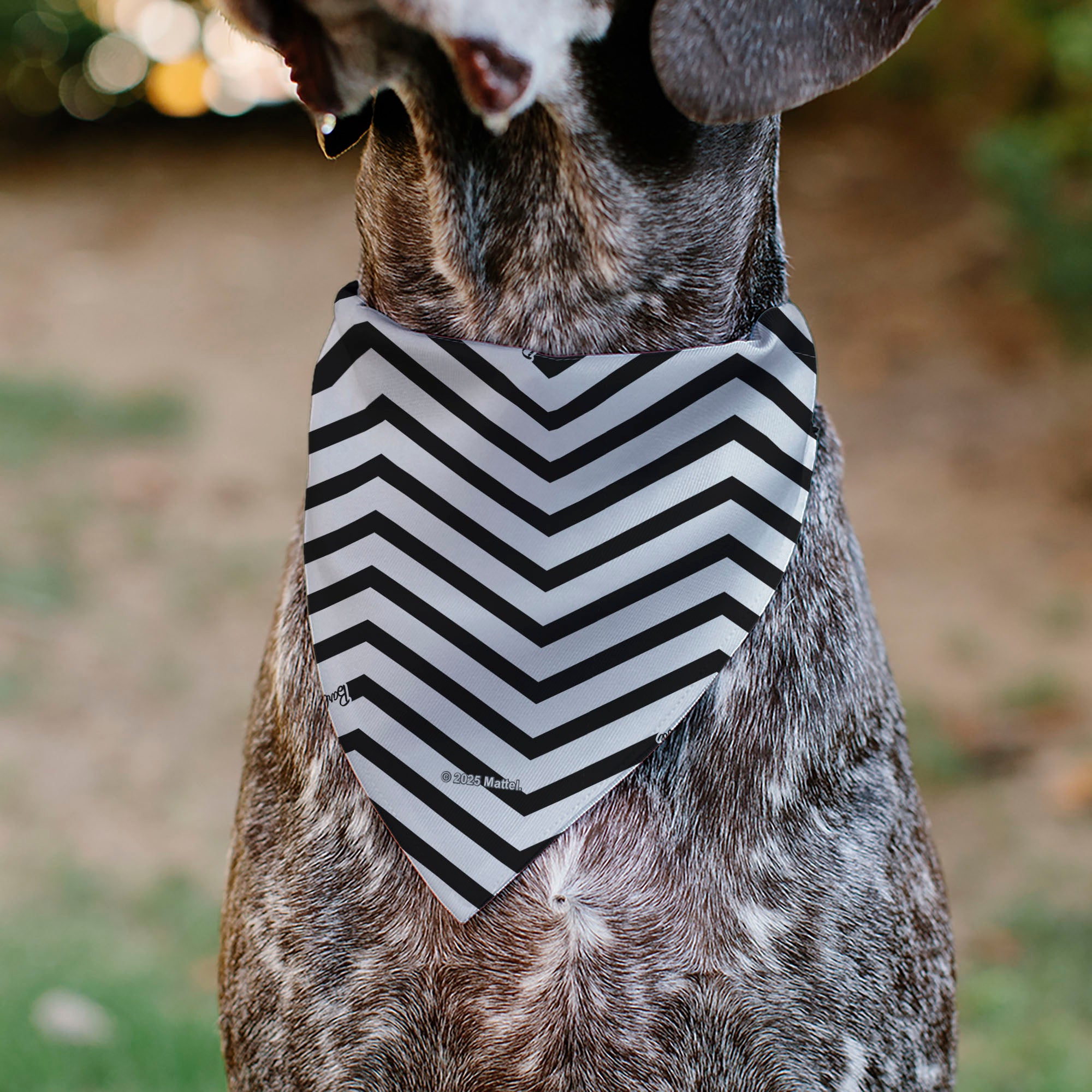 Pet Bandana - BARBIE Script Heart Chevron White/Black/Pinks Pet Bandanas Barbie