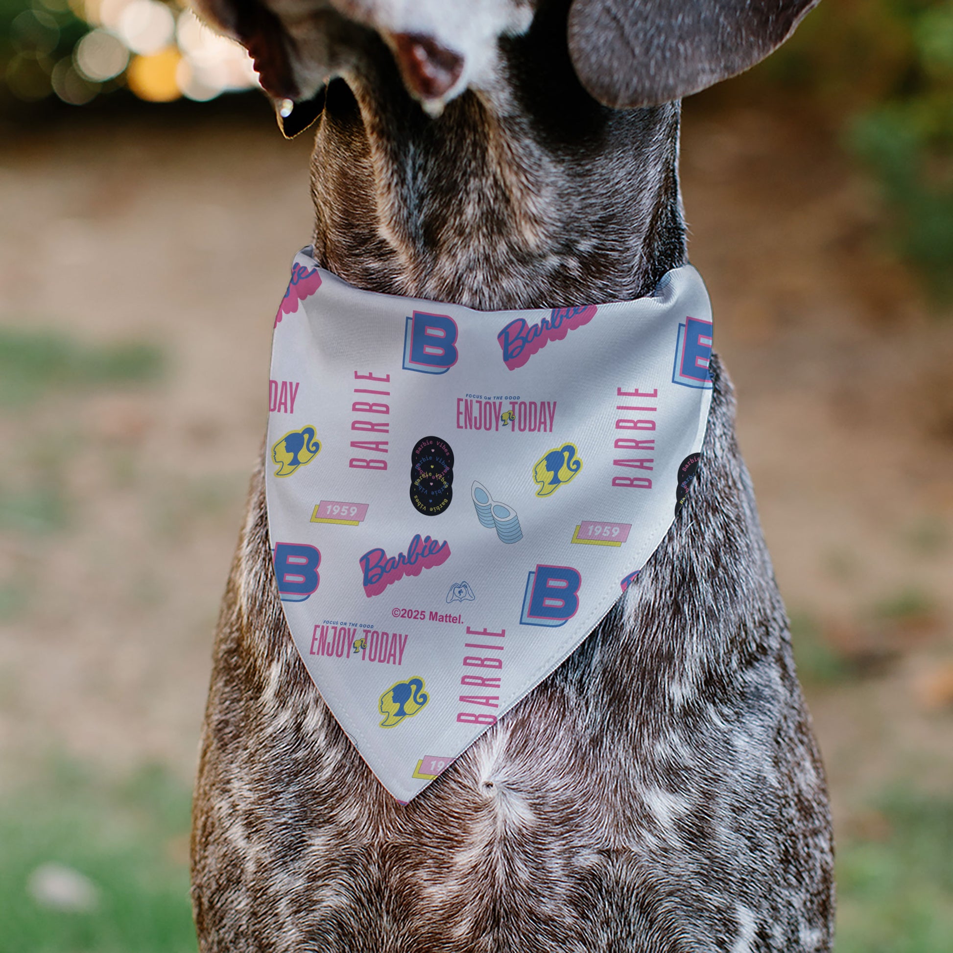 Pet Bandana - BARBIE ENJOY TODAY Text and Icons Collage White/Pinks/Blues Pet Bandanas Barbie