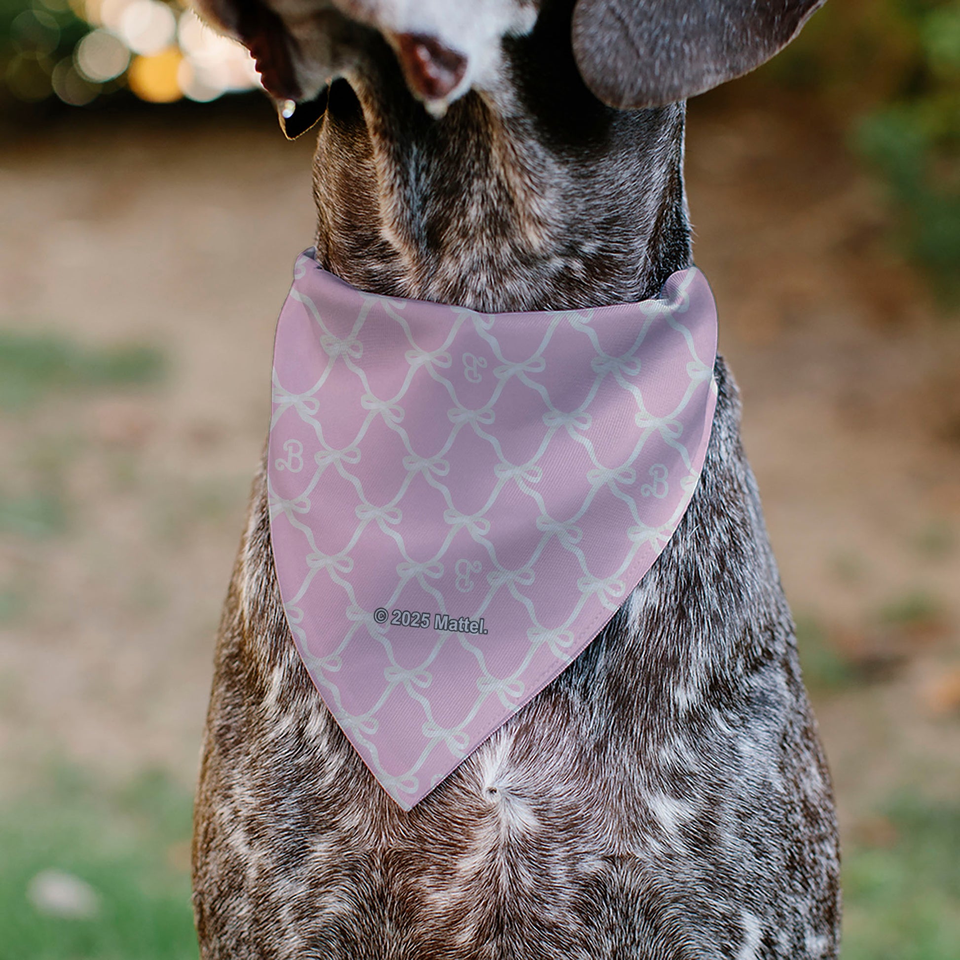 Pet Bandana - Barbie Bow and B Monogram Pink/White Pet Bandanas Barbie