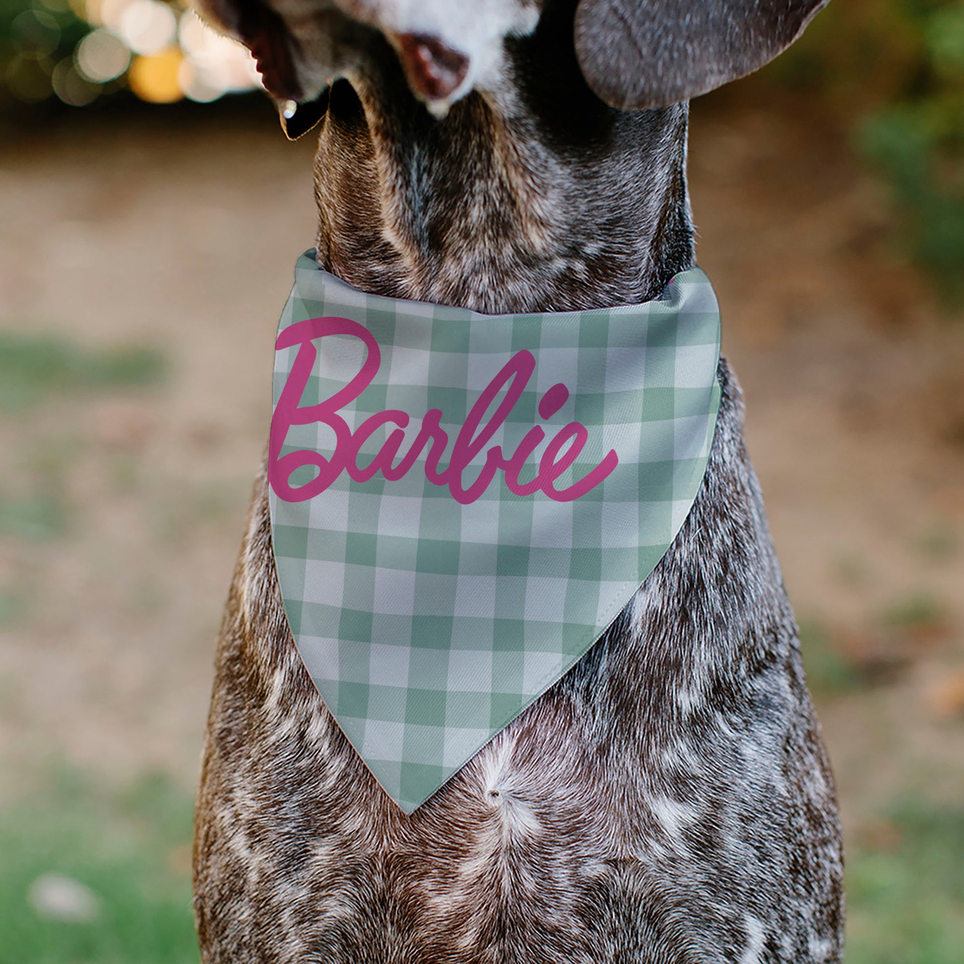Pet Bandana - BARBIE Script Plaid Beige/Olive/Pink Pet Bandanas Barbie