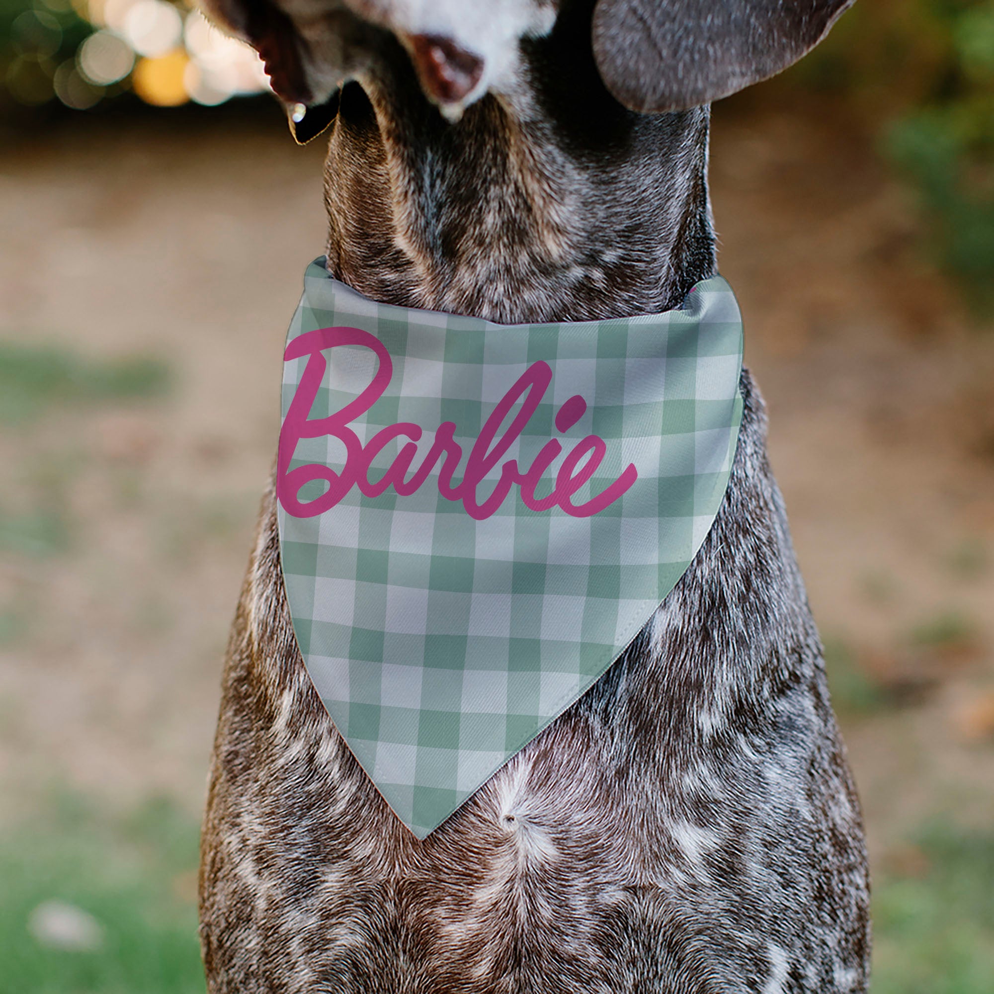 Pet Bandana - BARBIE Script Plaid Beige/Olive/Pink Pet Bandanas Barbie