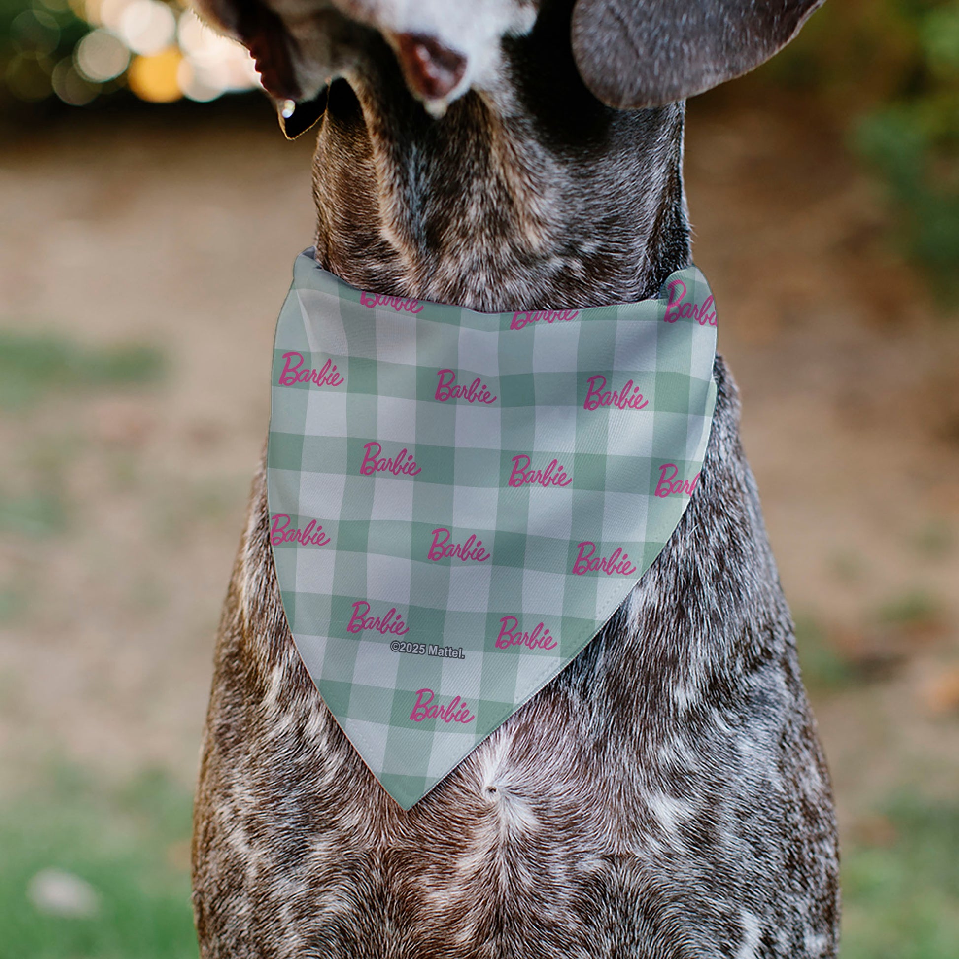 Pet Bandana - BARBIE Script Plaid Beige/Olive/Pink Pet Bandanas Barbie