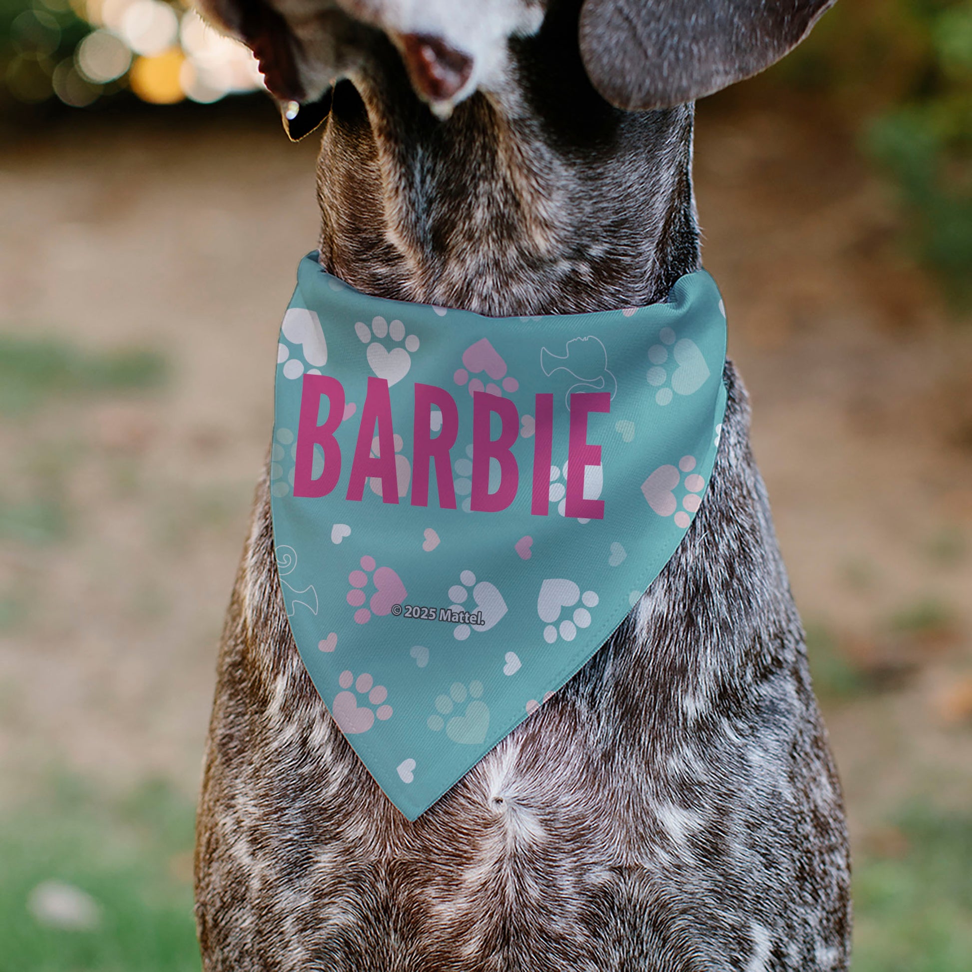 Pet Bandana - BARBIE Bold Text Paw Print Icons Blues/Pinks/White Pet Bandanas Barbie