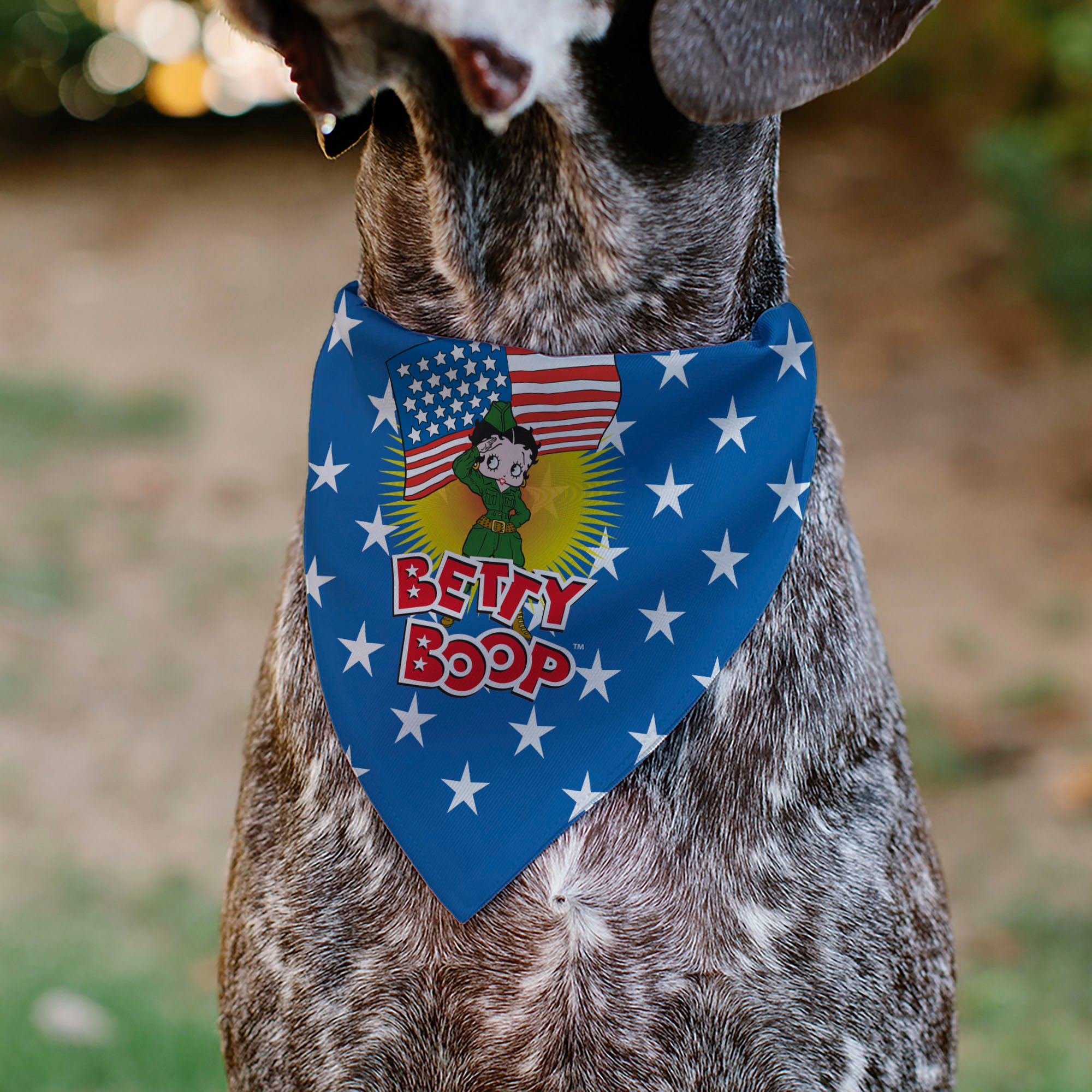 Pet Bandana - Bandana BETTY BOOP Americana Soldier Salute Pose Logo and Stars Blue/White Pet Bandanas Betty Boop