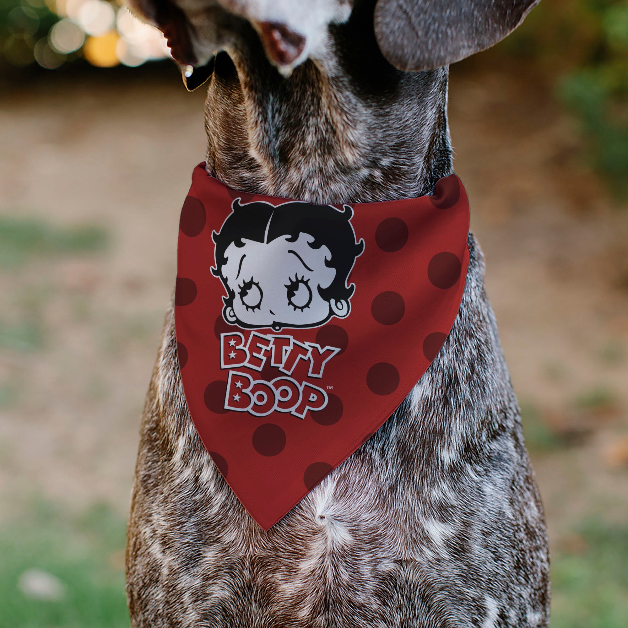 Pet Bandana - Bandana BETTY BOOP Face and Text Polka Dot Reds/Black/White Pet Bandanas Betty Boop