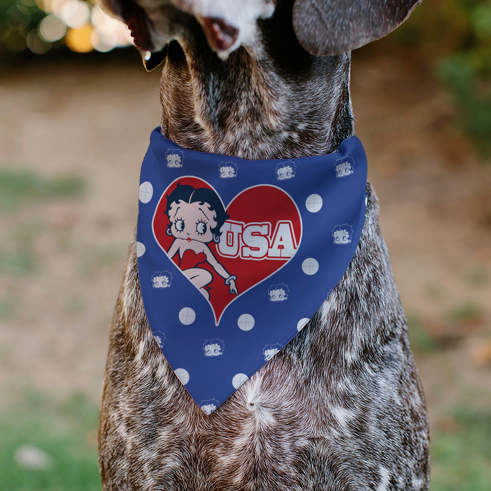Pet Bandana - Bandana Betty Boop USA Heart Pose Polka Dot/Face Blue/White Pet Bandanas Betty Boop