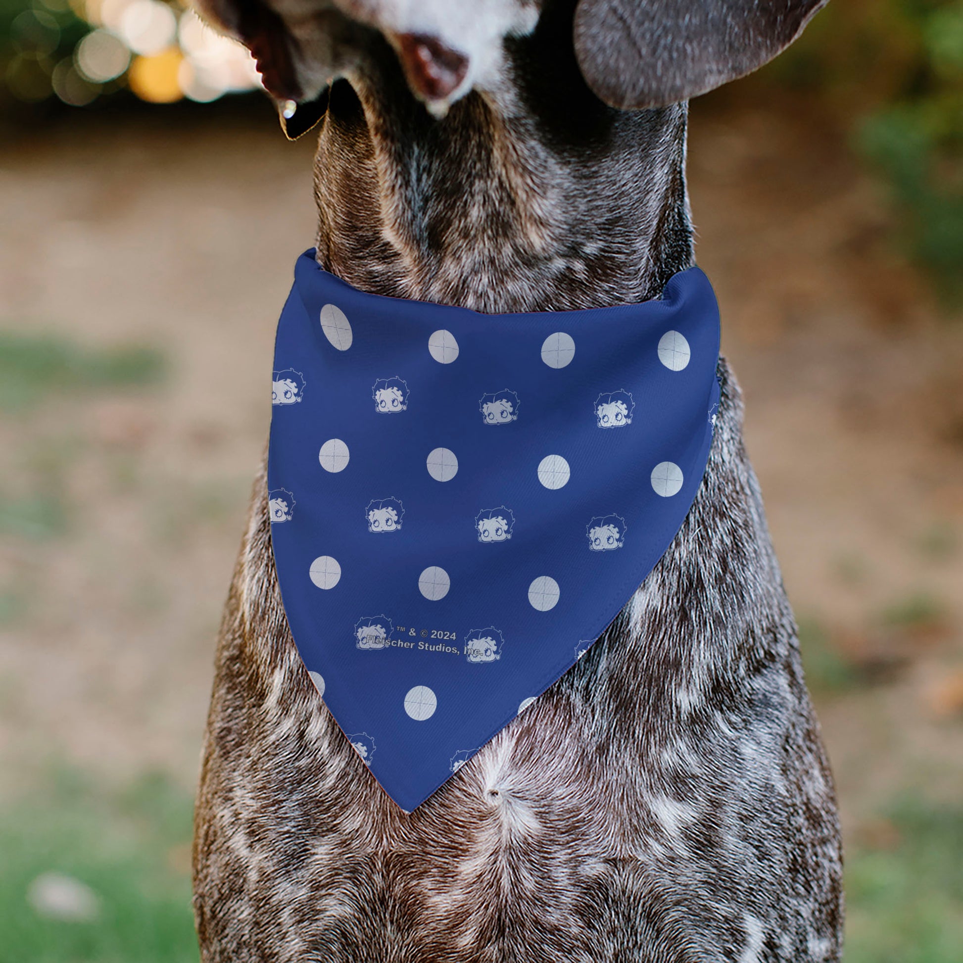 Pet Bandana - Bandana Betty Boop USA Heart Pose Polka Dot/Face Blue/White Pet Bandanas Betty Boop