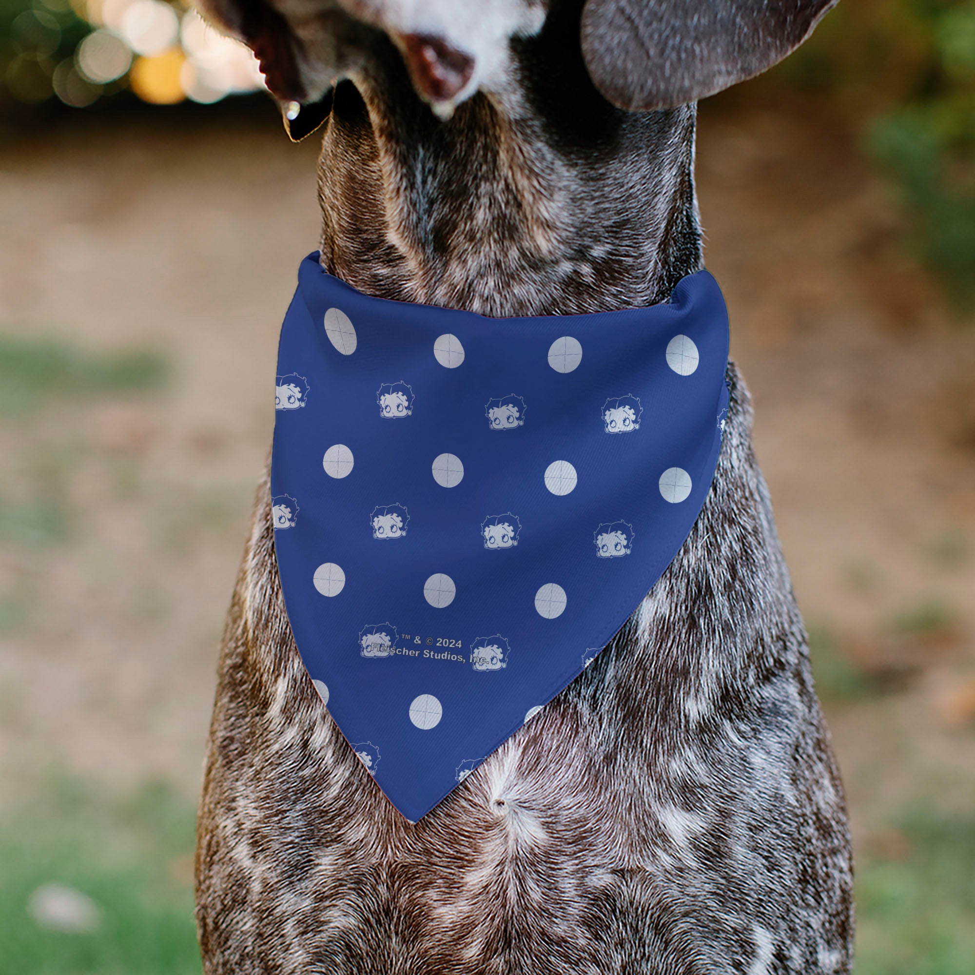 Pet Bandana - Bandana Betty Boop USA Heart Pose Polka Dot/Face Blue/White Pet Bandanas Betty Boop