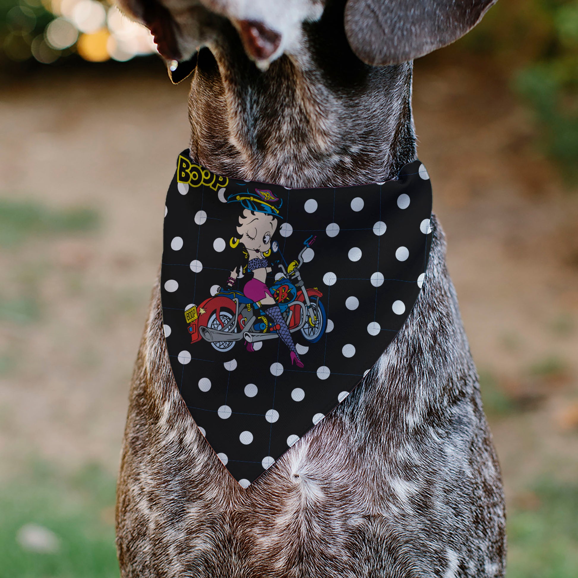 Pet Bandana - Bandana BETTY BOOP Biker Betty Winking Pose and Text Polka Dot Black/White/Yellow Pet Bandanas Betty Boop