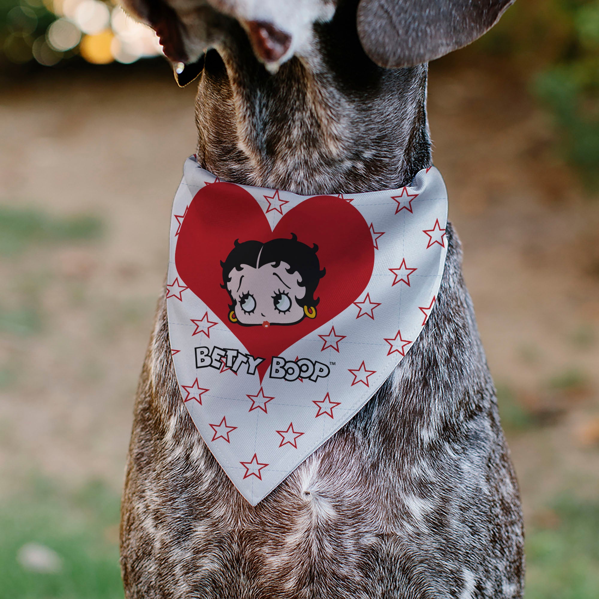 Pet Bandana - Bandana BETTY BOOP Face Heart and Text Stars White/Red Pet Bandanas Betty Boop