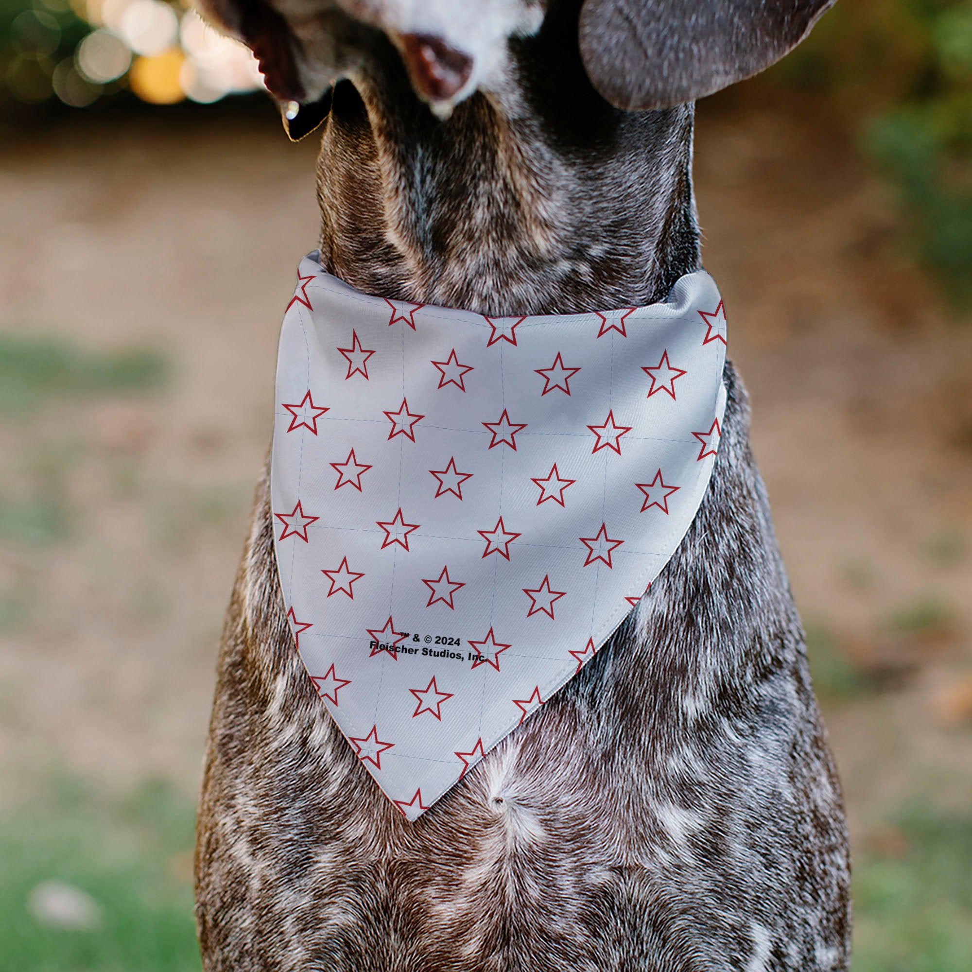 Pet Bandana - Bandana BETTY BOOP Face Heart and Text Stars White/Red Pet Bandanas Betty Boop