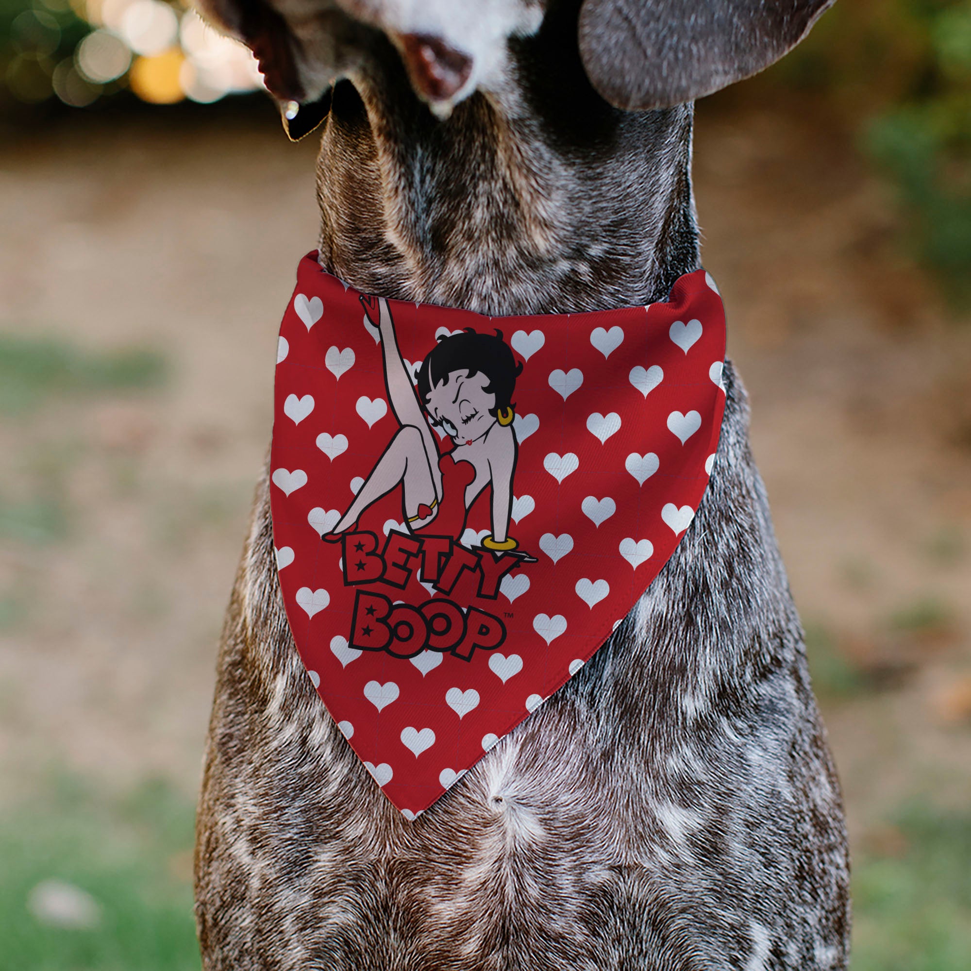 Pet Bandana - Bandana BETTY BOOP Seated Leg Kick Pose and Text Hearts Red/White Pet Bandanas Betty Boop