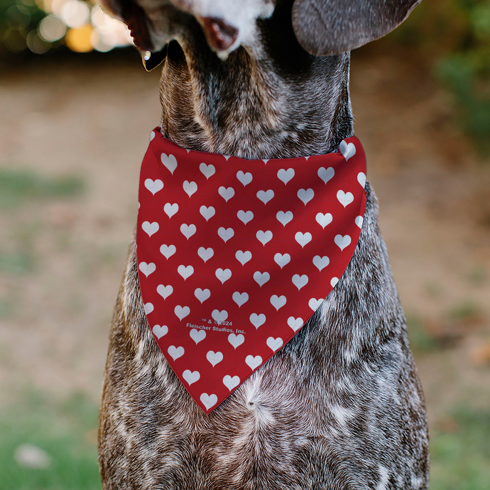 Pet Bandana - Bandana BETTY BOOP Seated Leg Kick Pose and Text Hearts Red/White Pet Bandanas Betty Boop