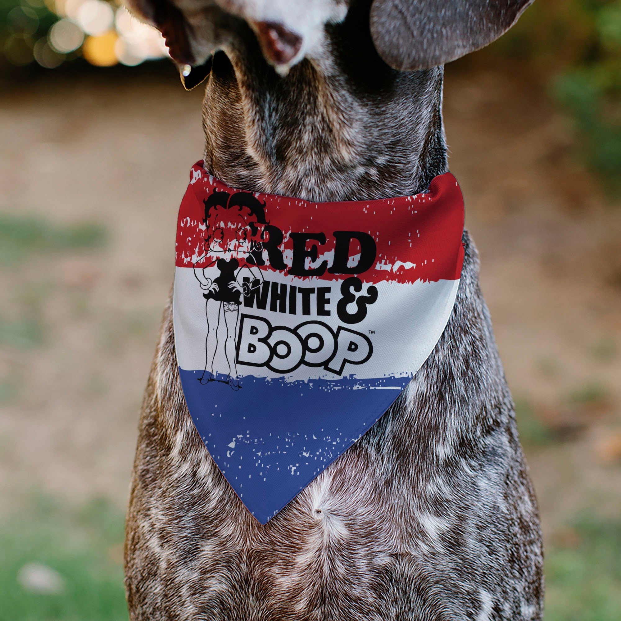 Pet Bandana - Bandana Betty Boop RED WHITE & BOOP Pose Americana Stripe Red/White/Blue/Black Pet Bandanas Betty Boop