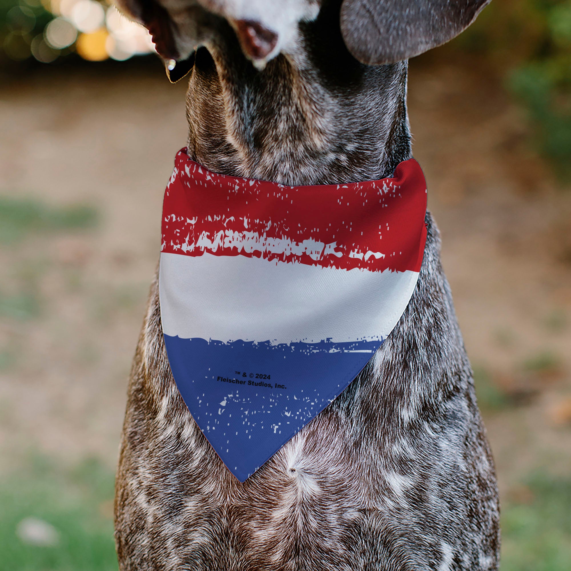 Pet Bandana - Bandana Betty Boop RED WHITE & BOOP Pose Americana Stripe Red/White/Blue/Black Pet Bandanas Betty Boop