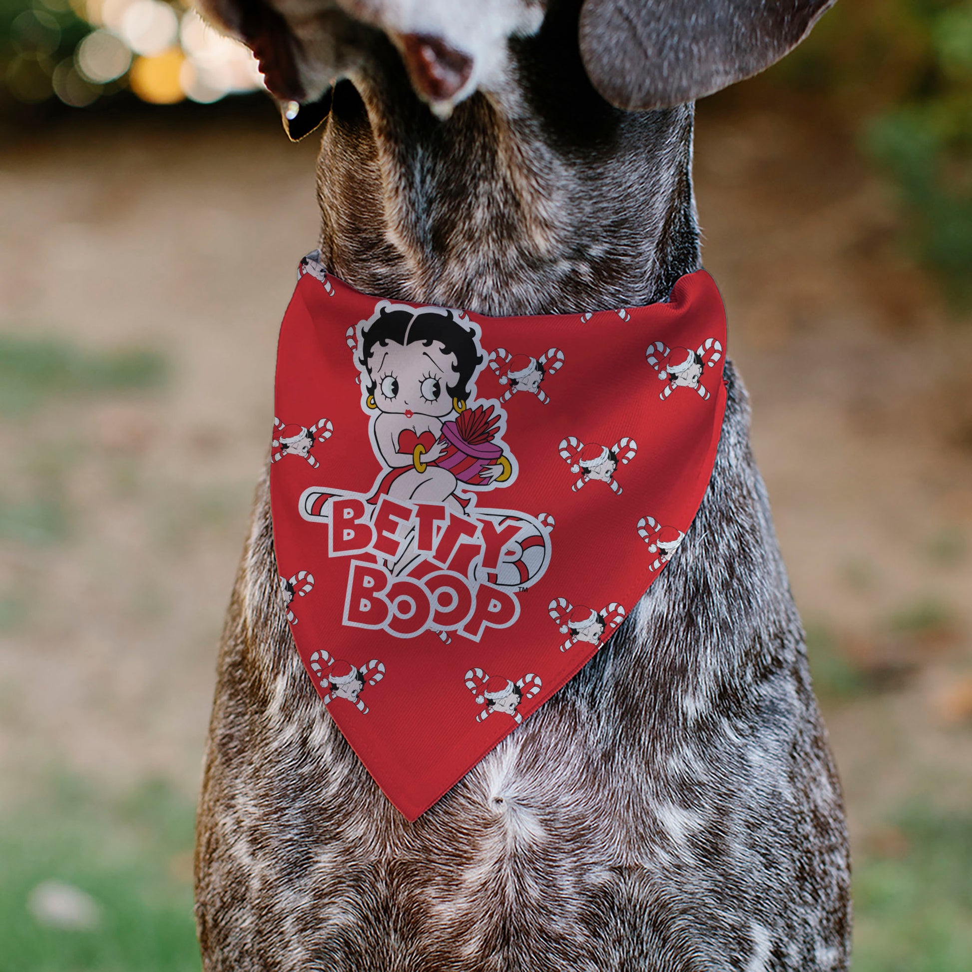 Pet Bandana - Bandana BETTY BOOP Holiday Gift Pose and Santa Betty Winking Icon Red Pet Bandanas Betty Boop