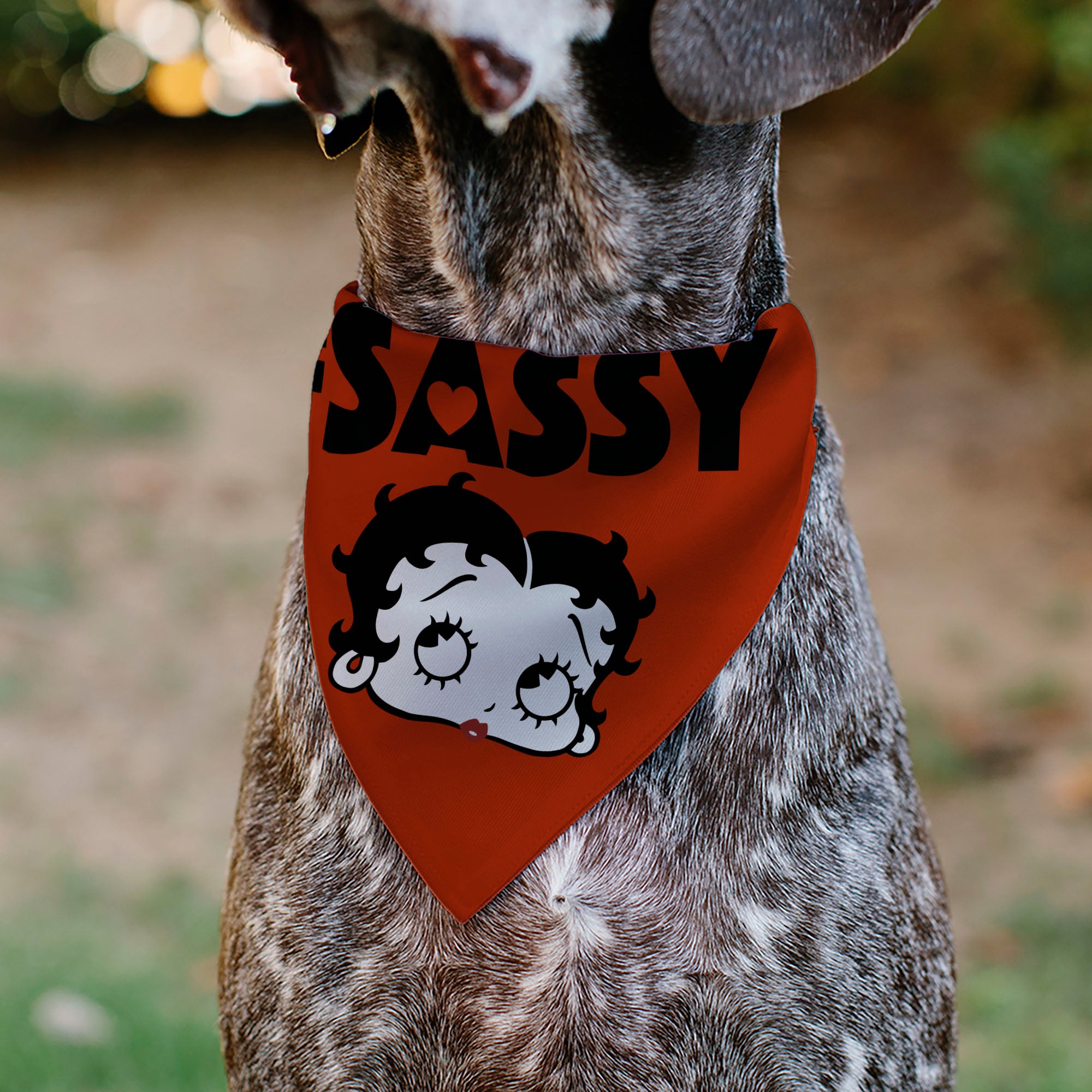Pet Bandana - Betty Boop #SASSY Face Red/Black Pet Bandanas Betty Boop