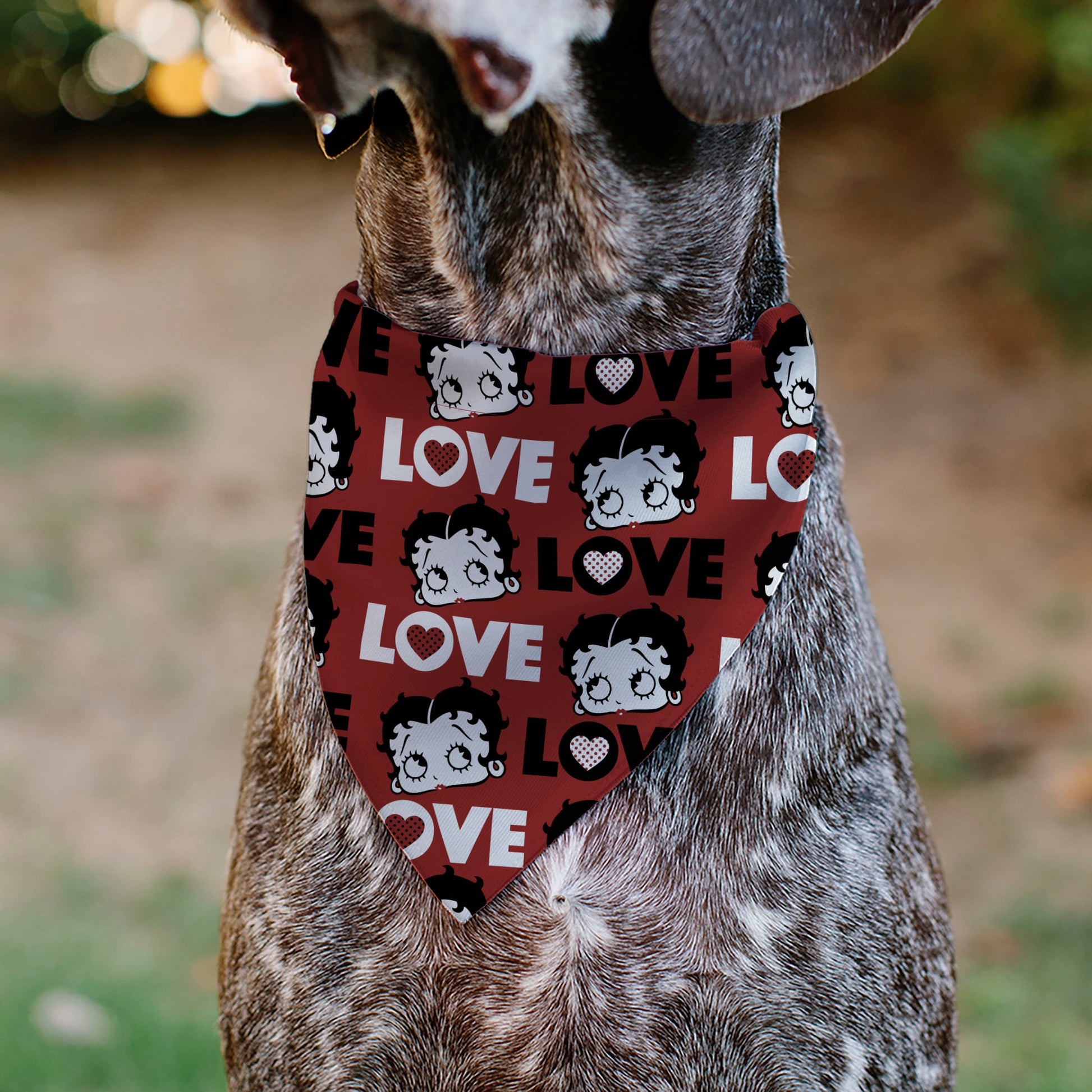 Pet Bandana - Betty Boop LOVE Text and Face Red/Black/White Pet Bandanas Betty Boop