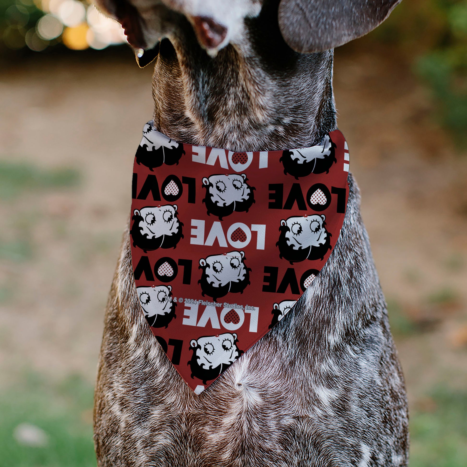 Pet Bandana - Betty Boop LOVE Text and Face Red/Black/White Pet Bandanas Betty Boop