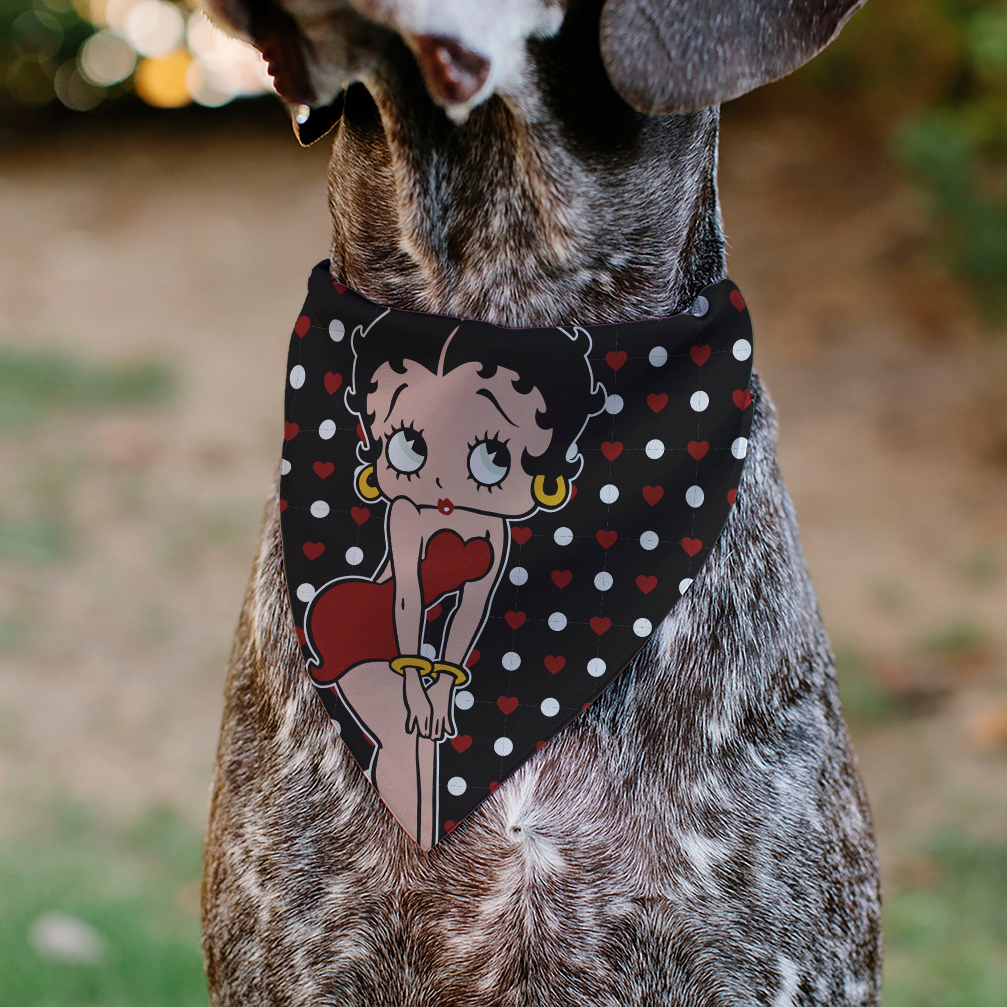 Pet Bandana - Betty Boop Hands on Knees Pose Heart Polka Dot Black/Red/White Pet Bandanas Betty Boop
