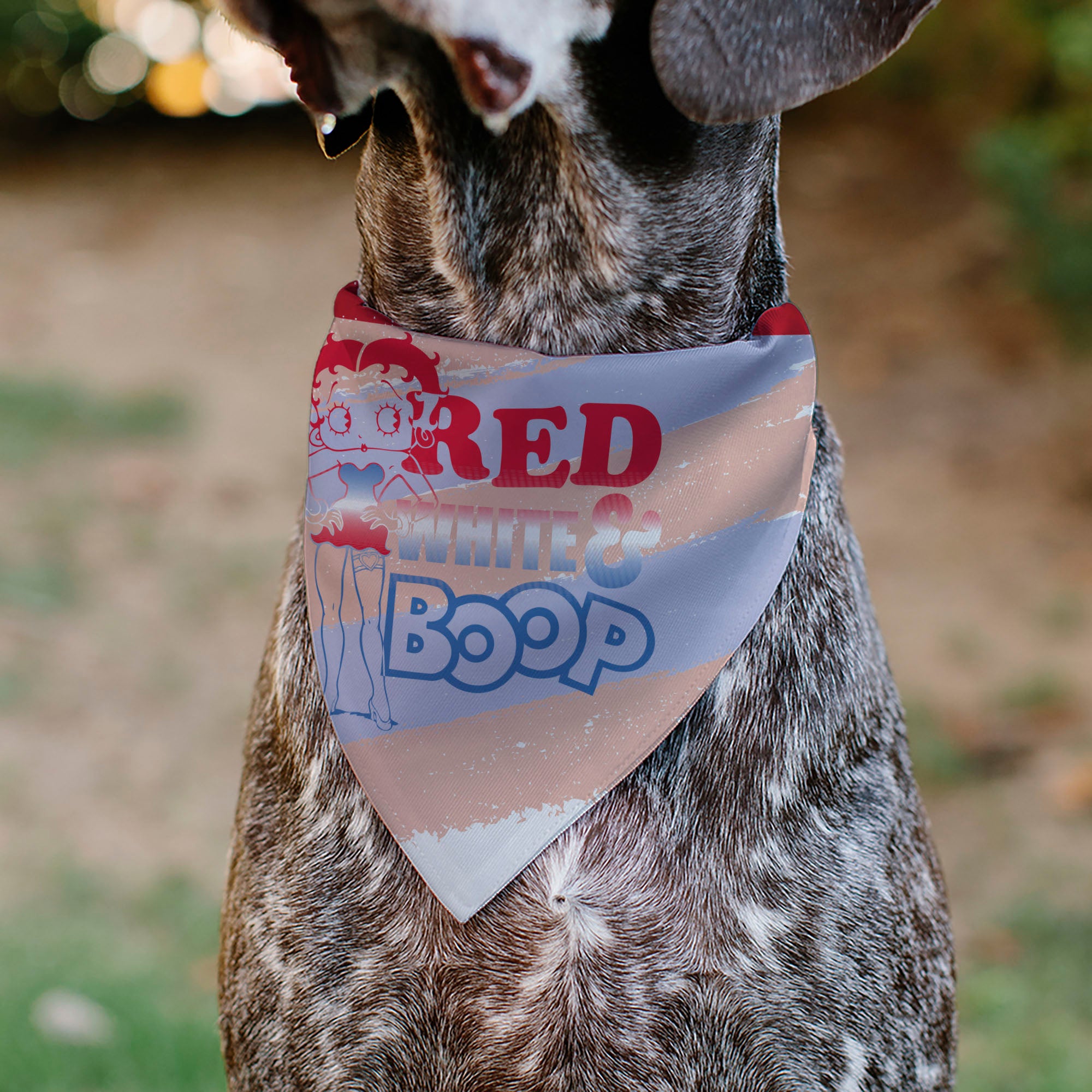 Pet Bandana - Betty Boop RED WHITE & BOOP Stripes Pose White/Red/Blue Pet Bandanas Betty Boop